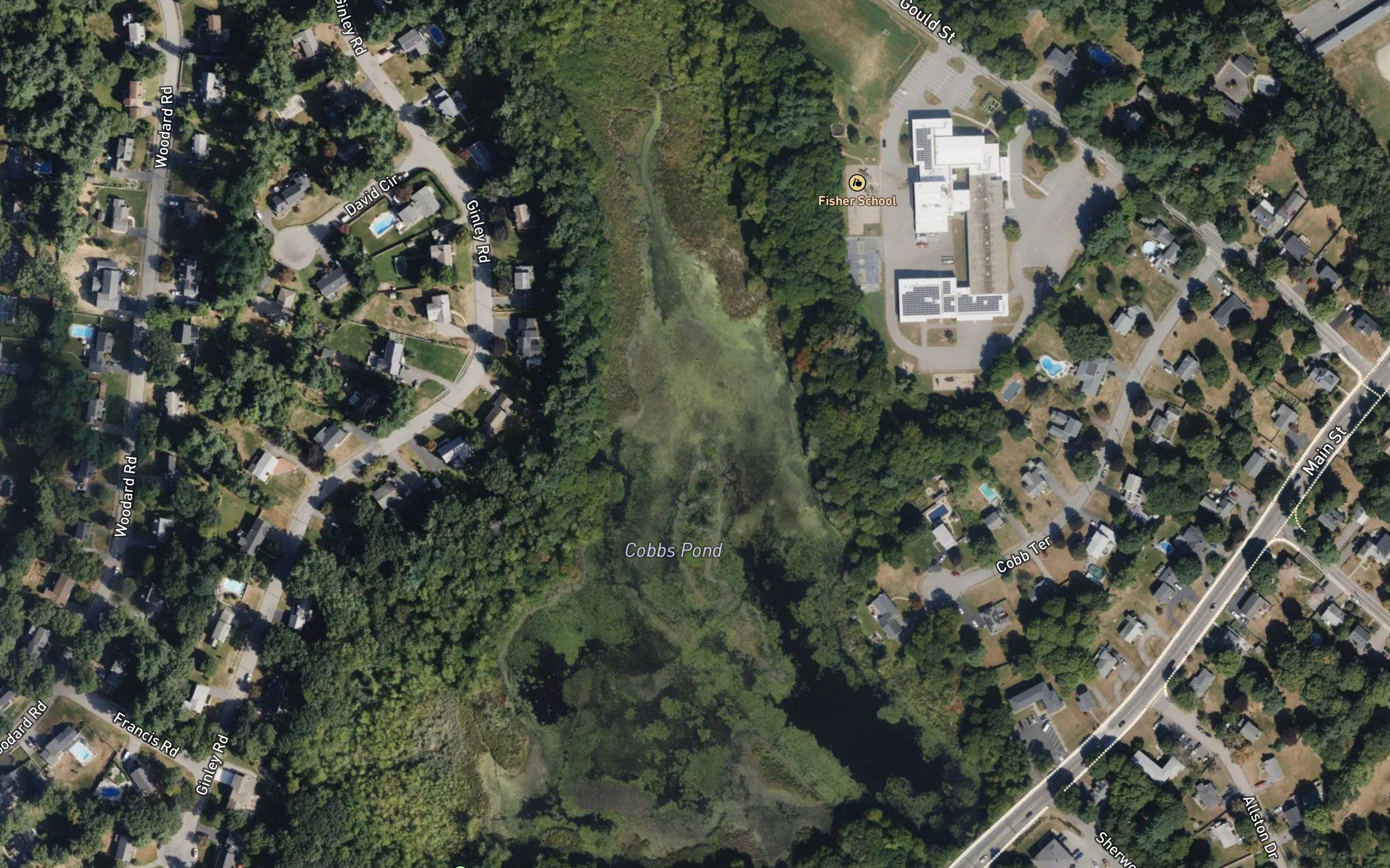 Cobbs Pond