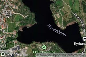 Hunsnasen