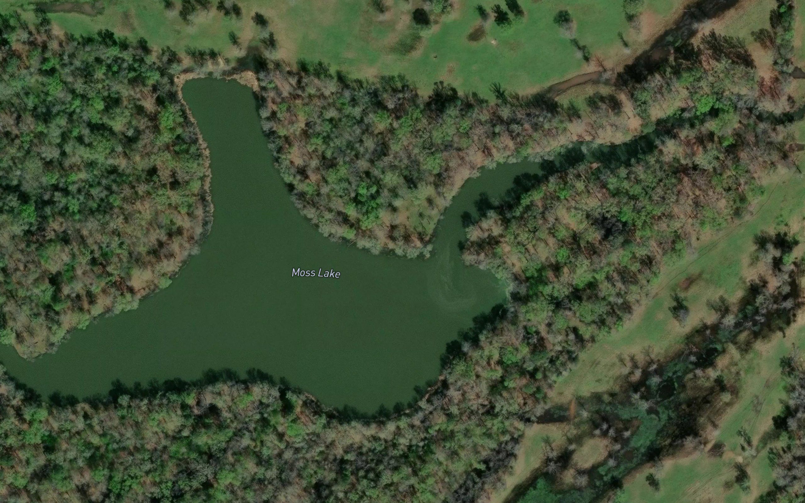 Moss Lake