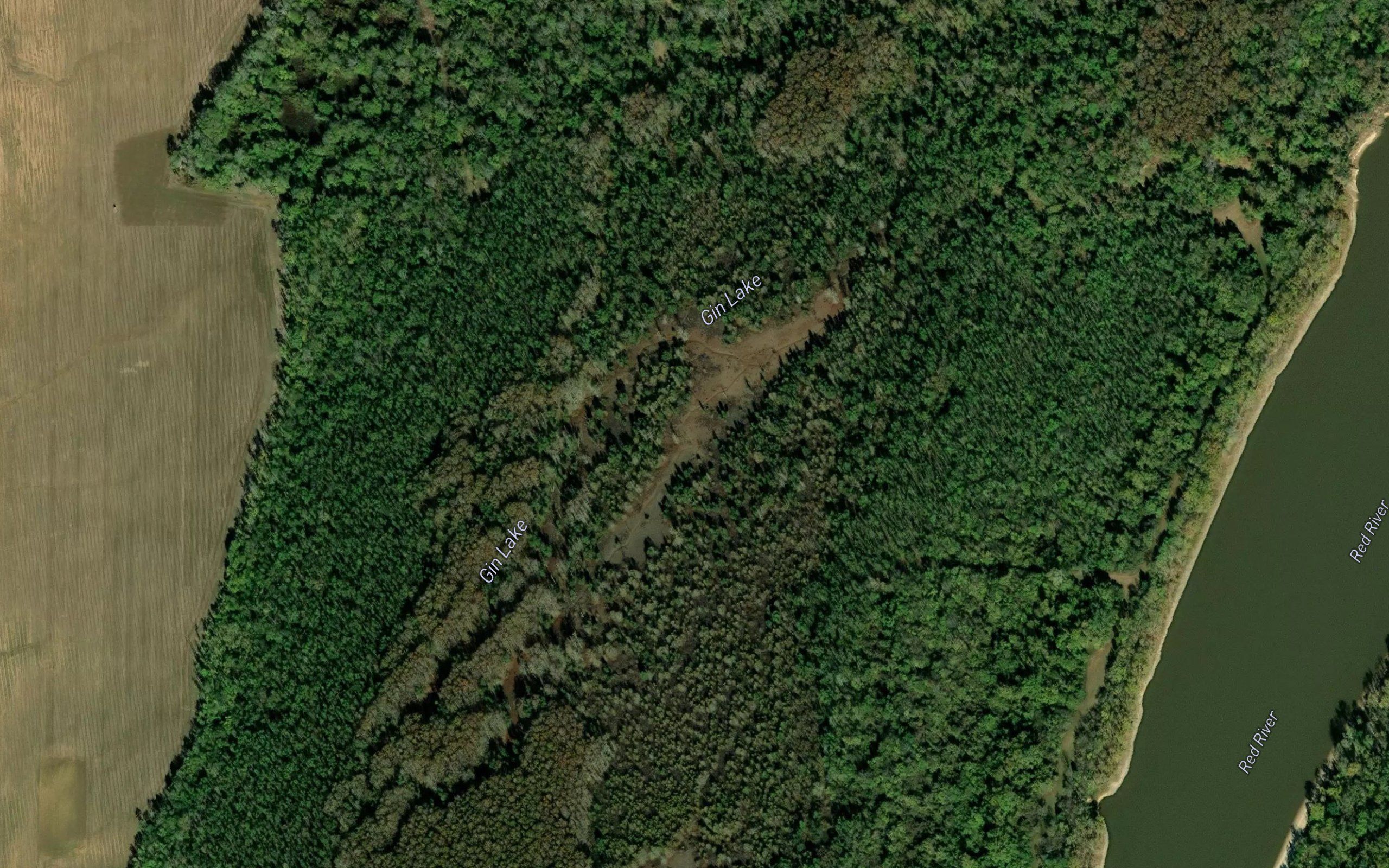 Gin Lake