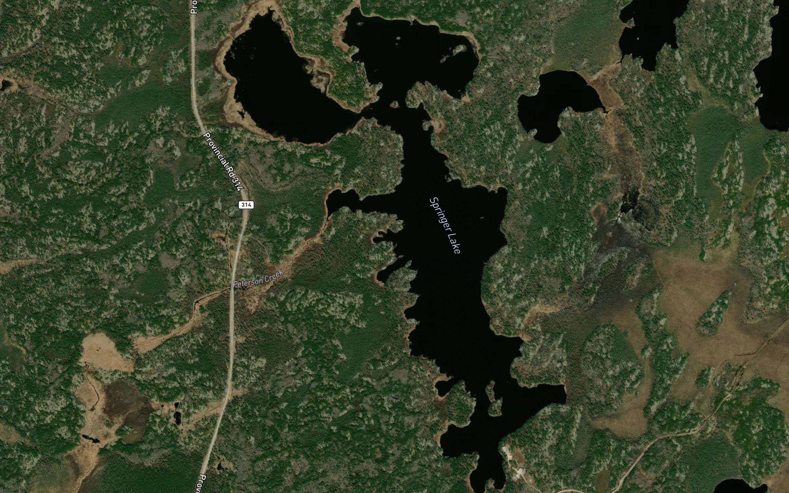 Springer Lake