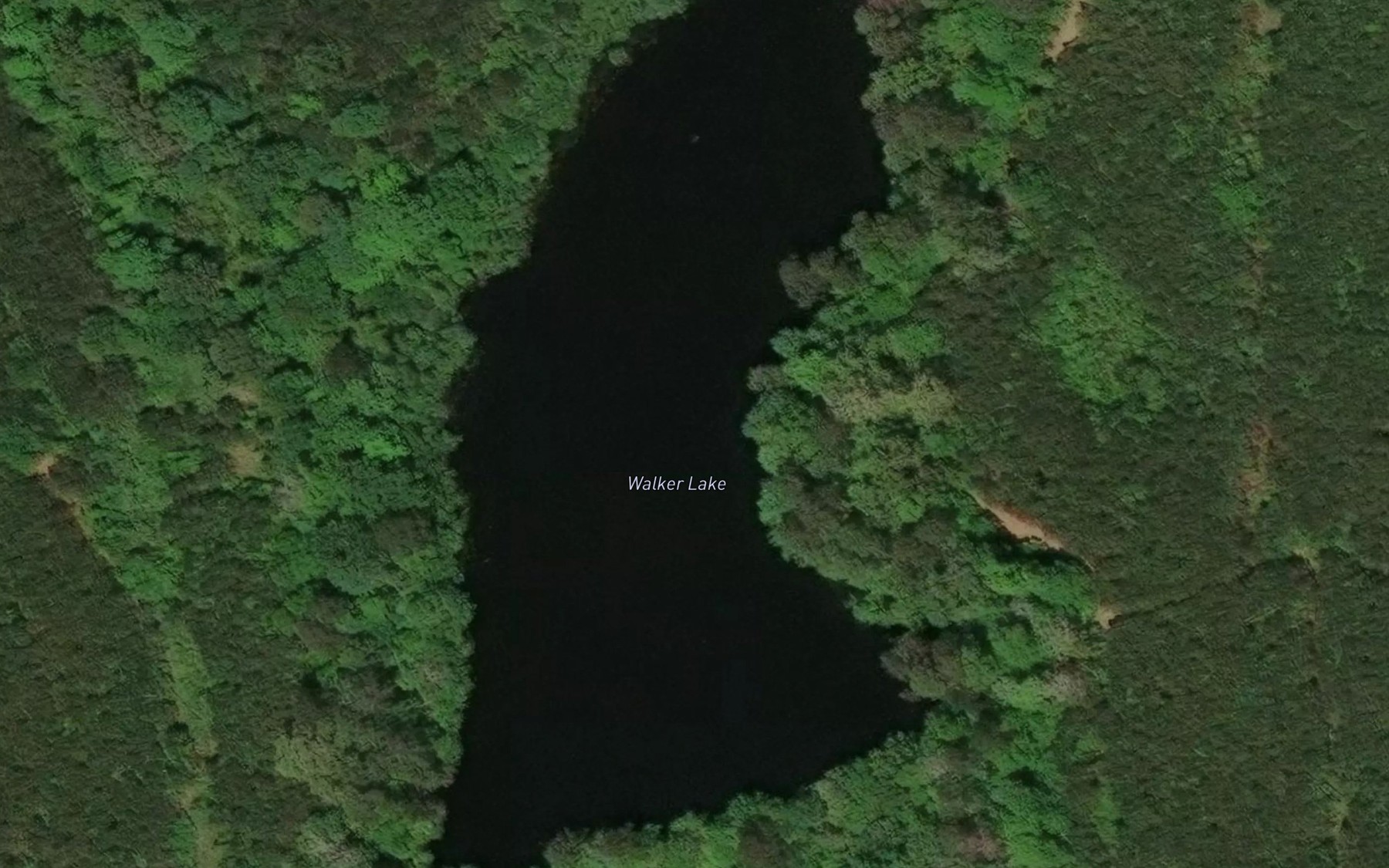 Satellite map of the Walker Lake