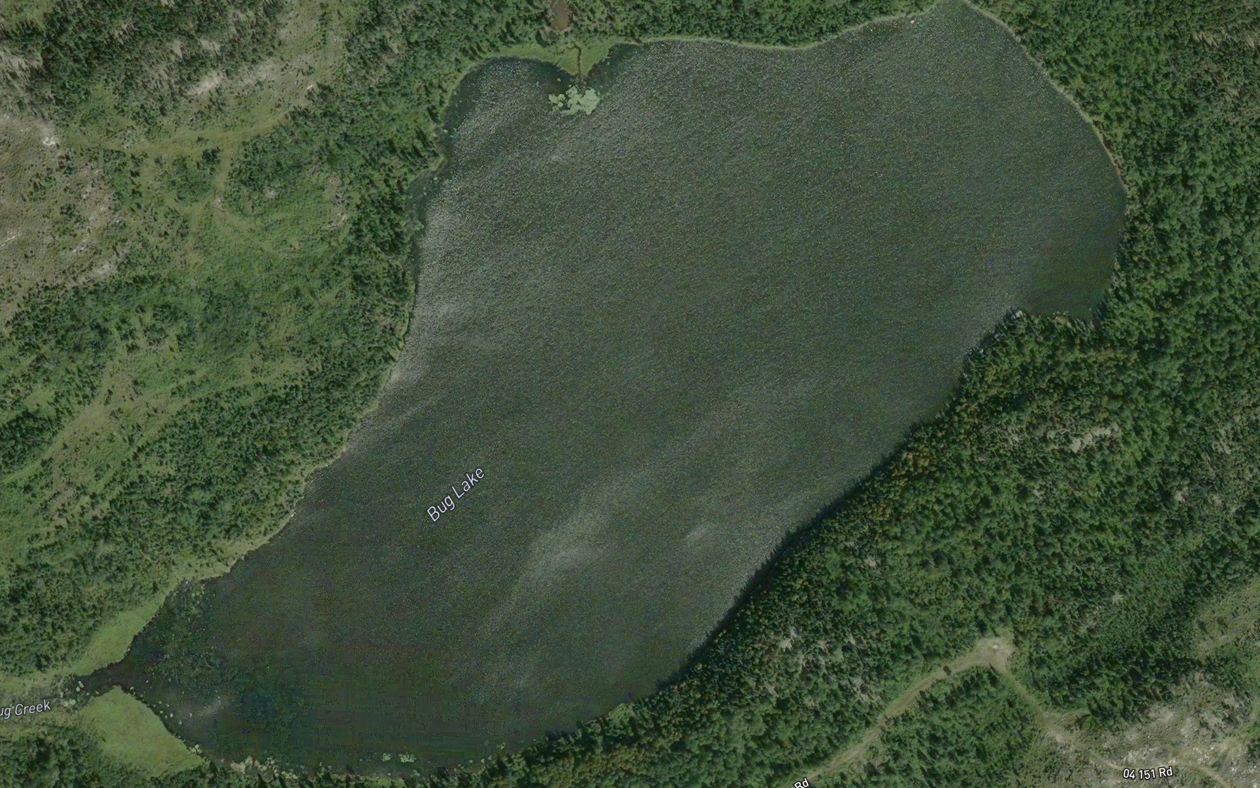 Bug Lake