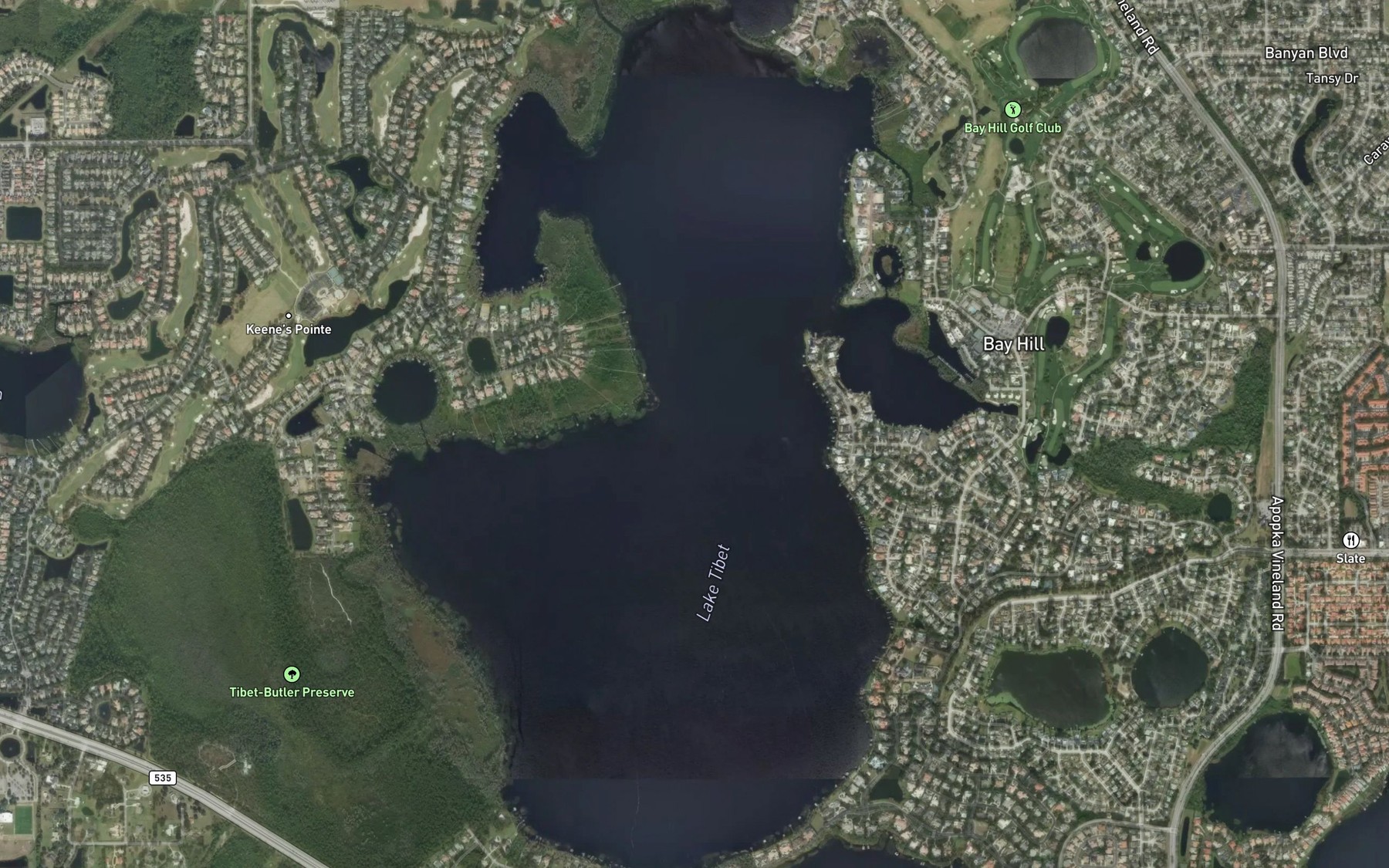 Satellite map of the Lake Tibet