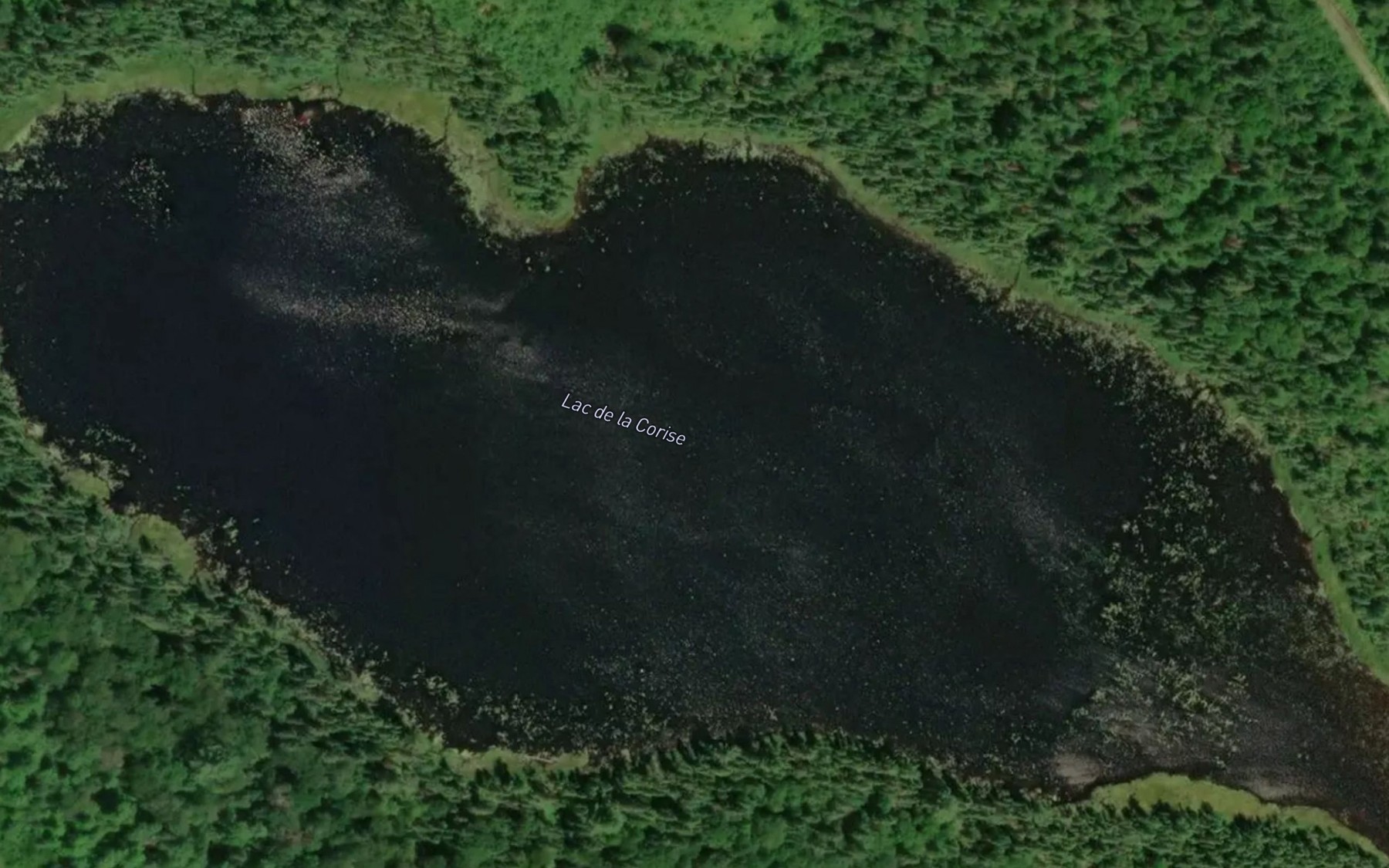 Satellite map of the Lac de la Corise