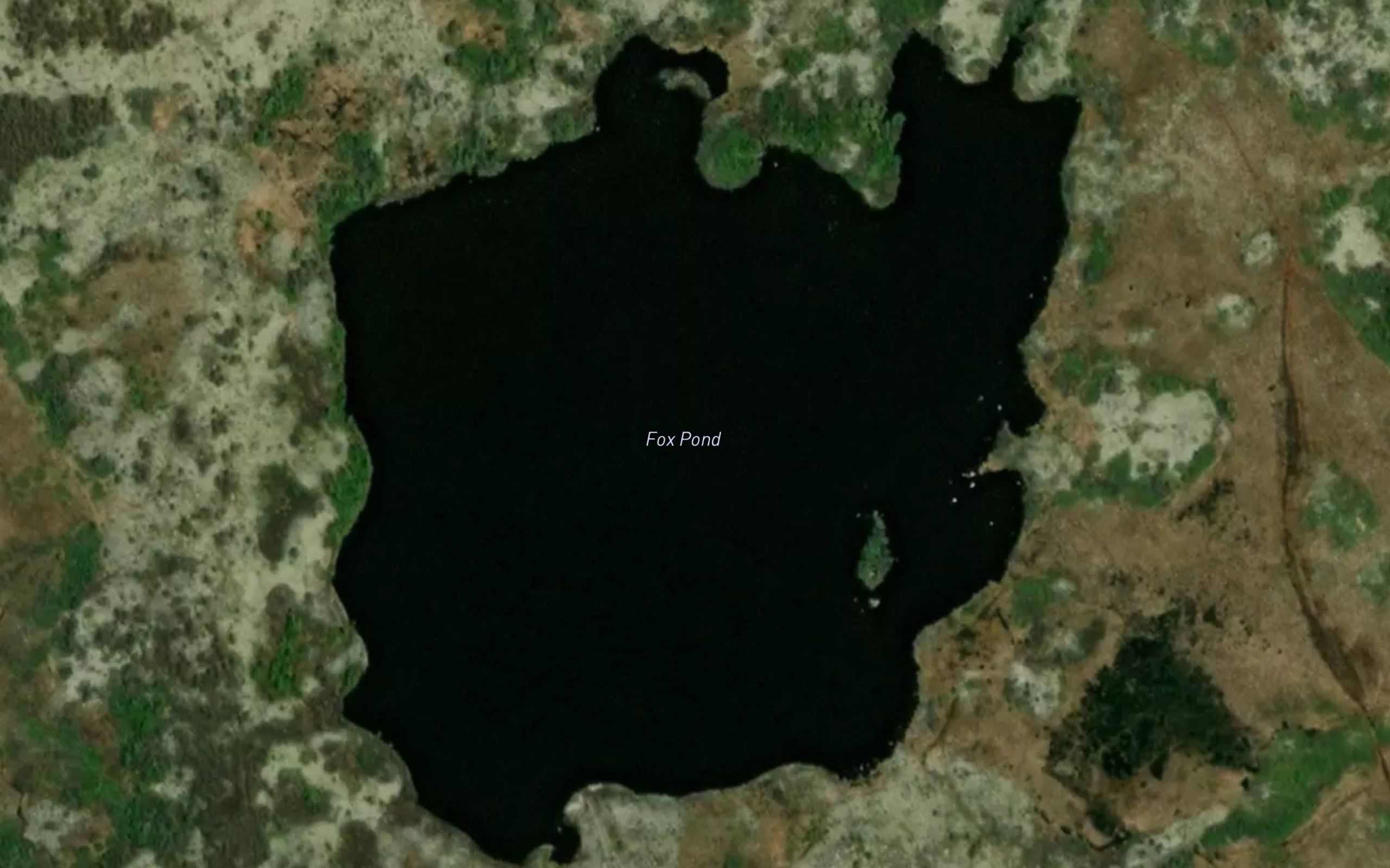 Fox Pond