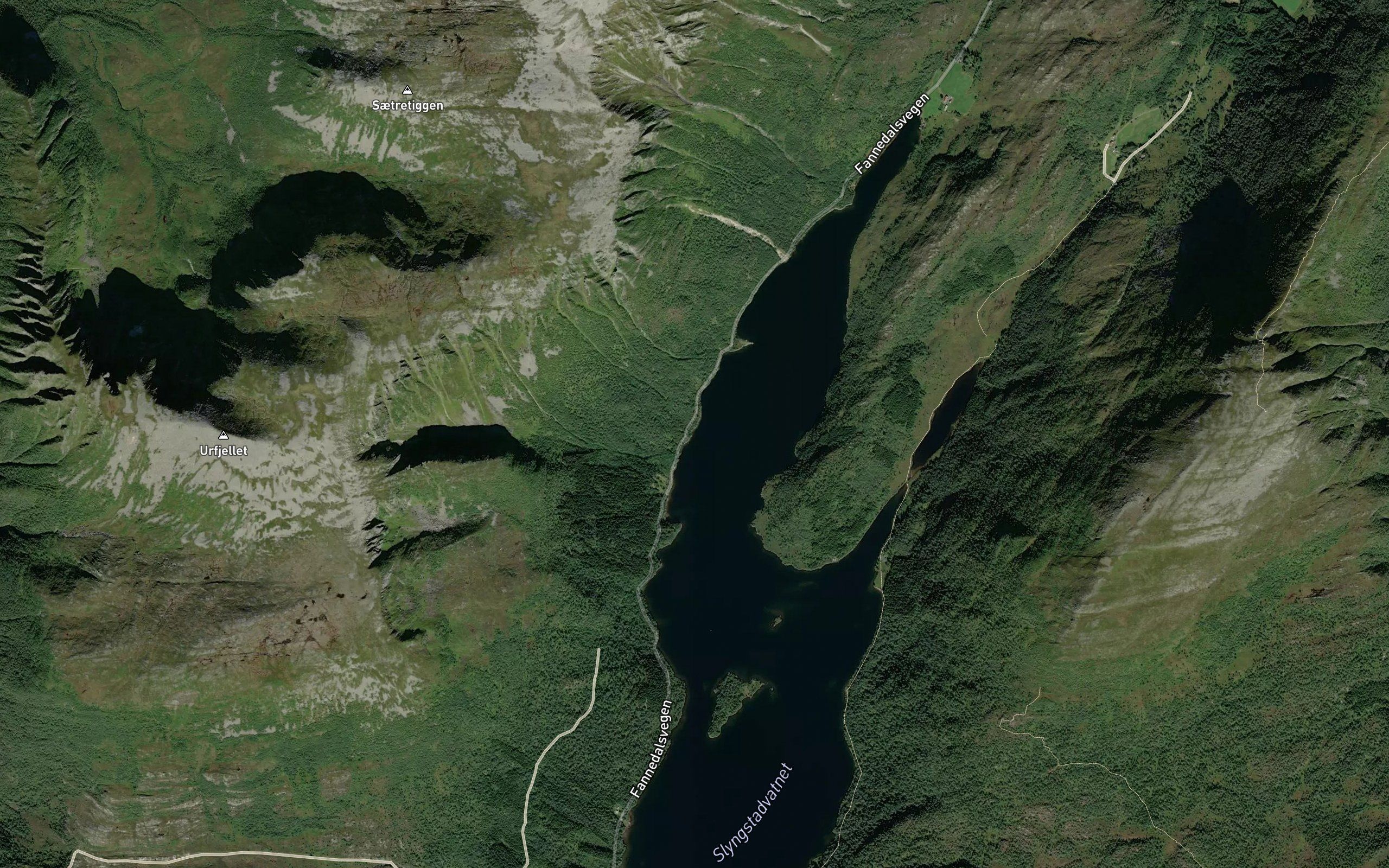 Slattavika