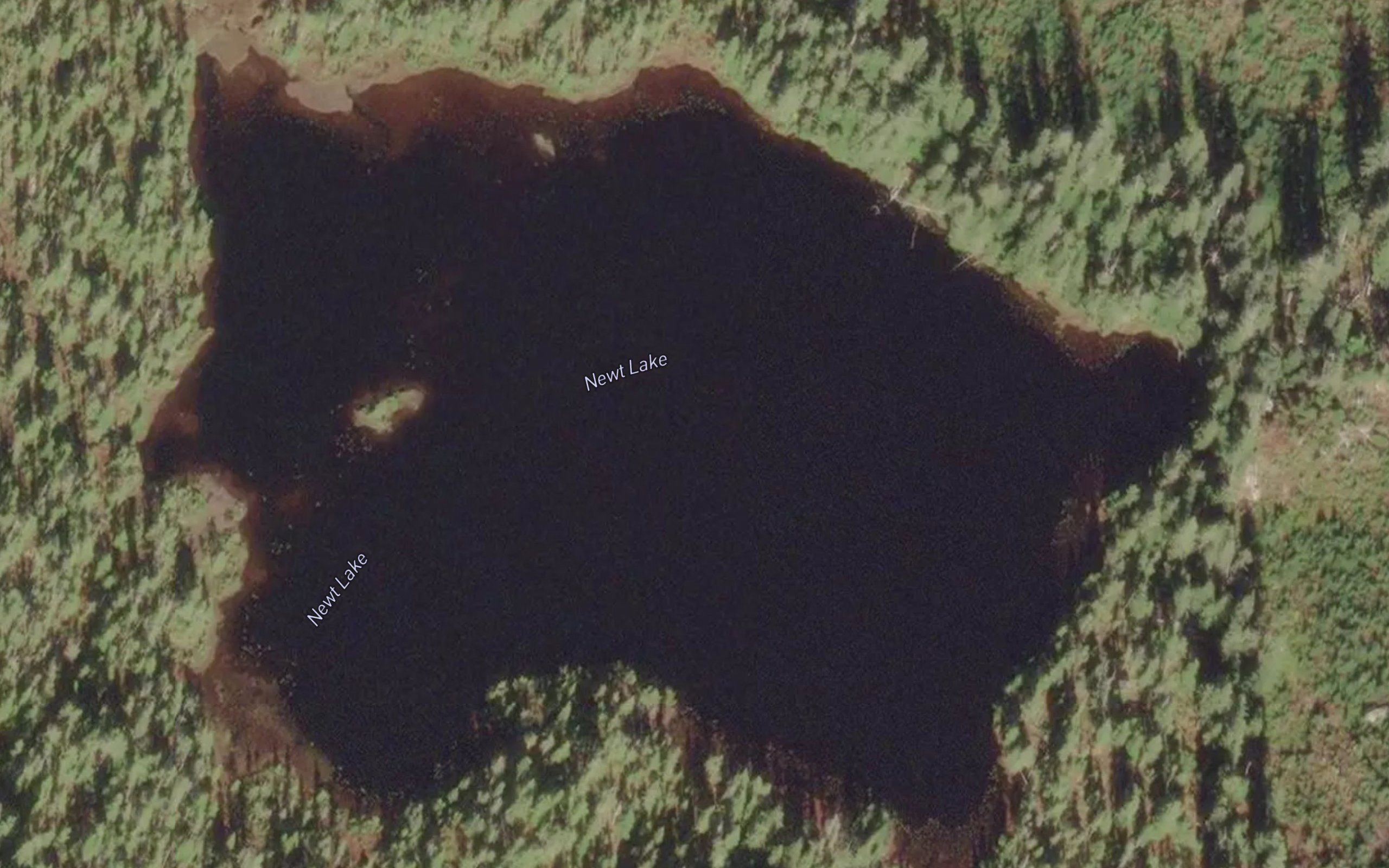 Newt Lake