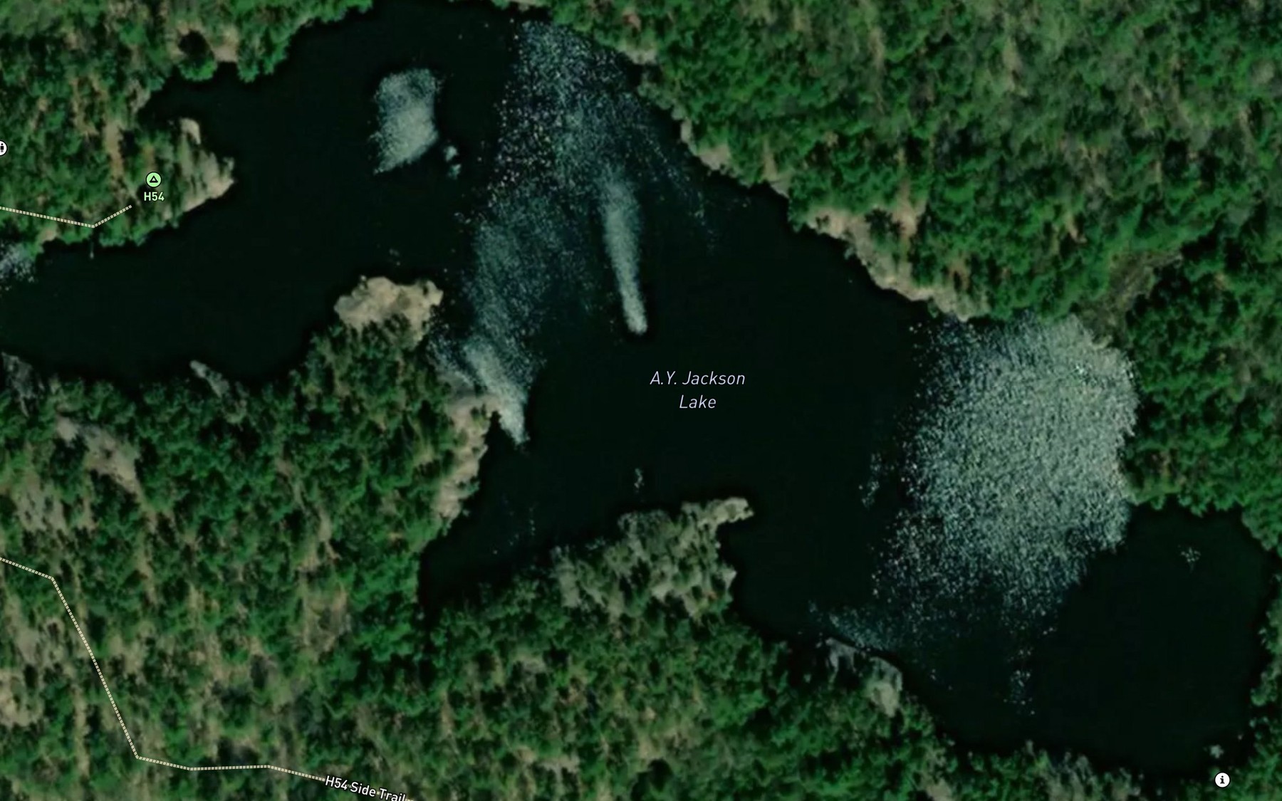 Satellite map of the A.Y. Jackson Lake