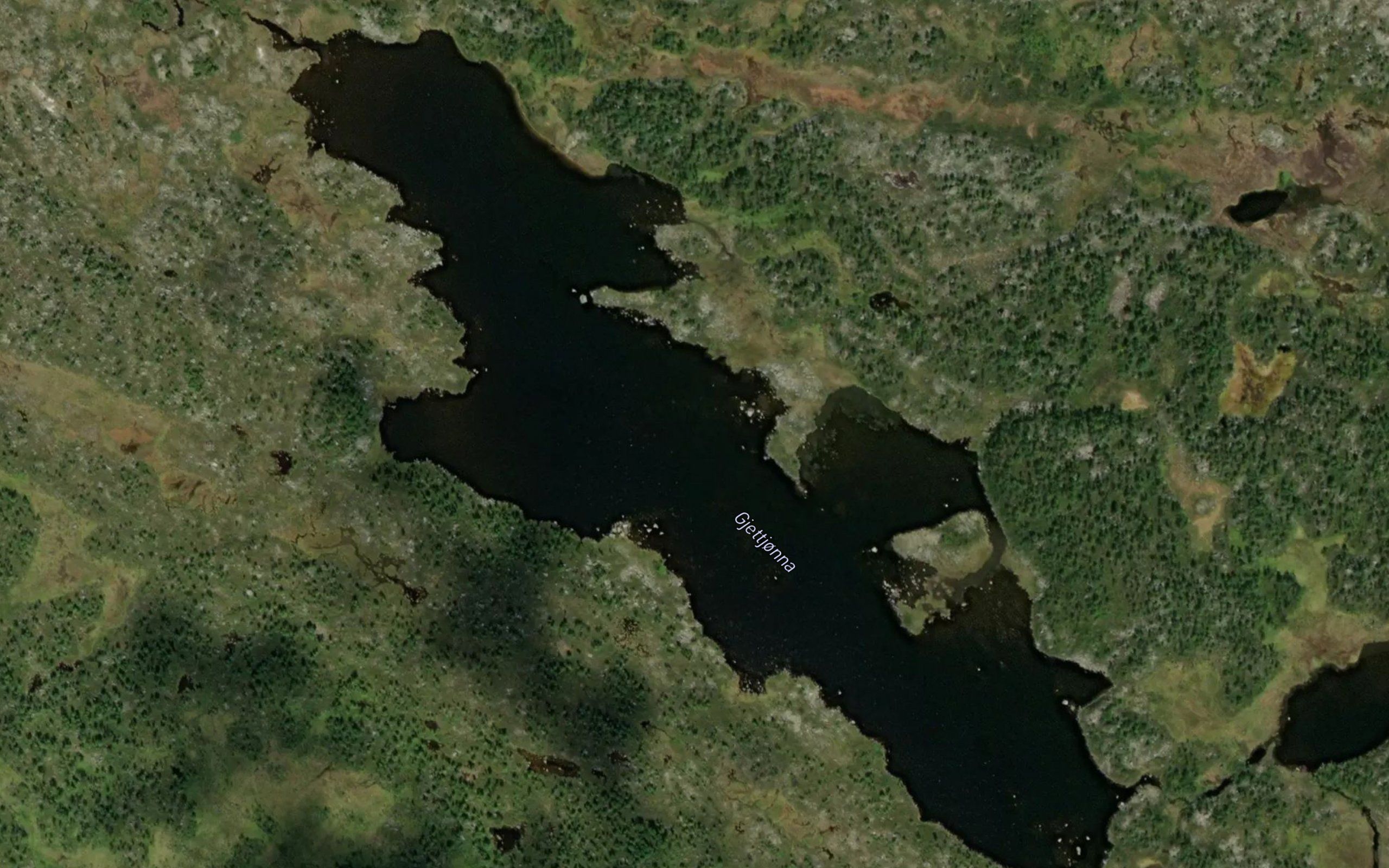 Gjettjonna