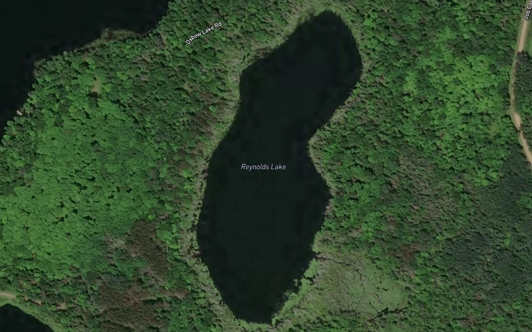 Satellite map of the Reynolds Lake