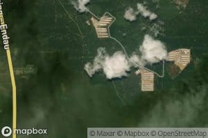 Anak Sungai Kayu Ara