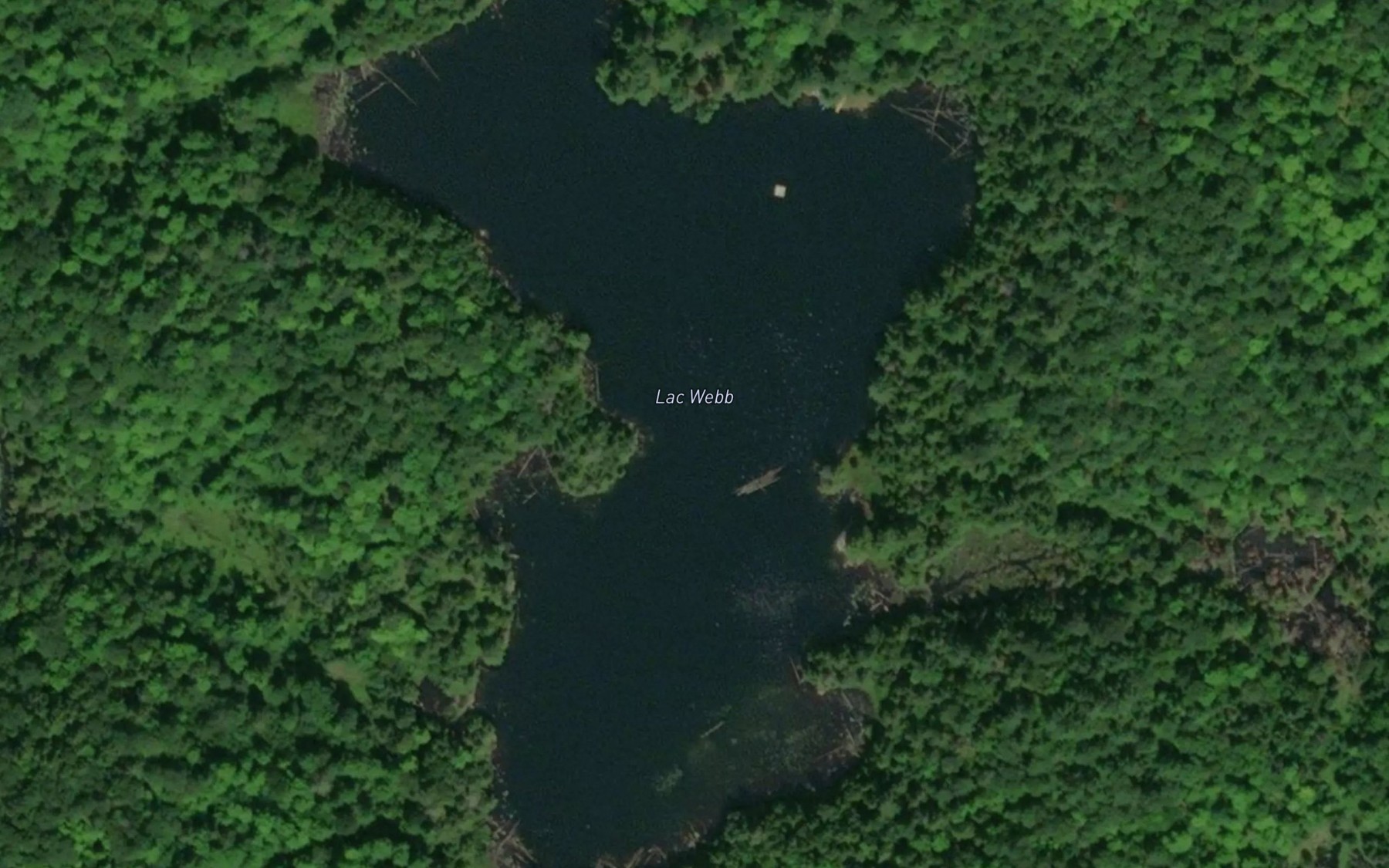 Satellite map of the Lac Webb