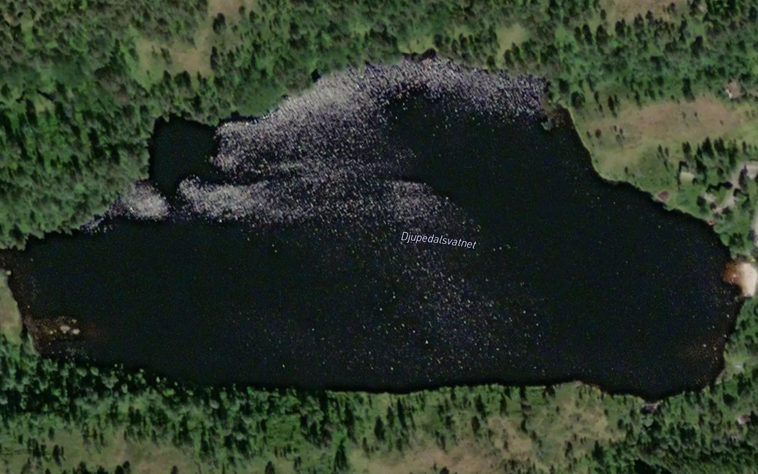 Djupedalsvatnet