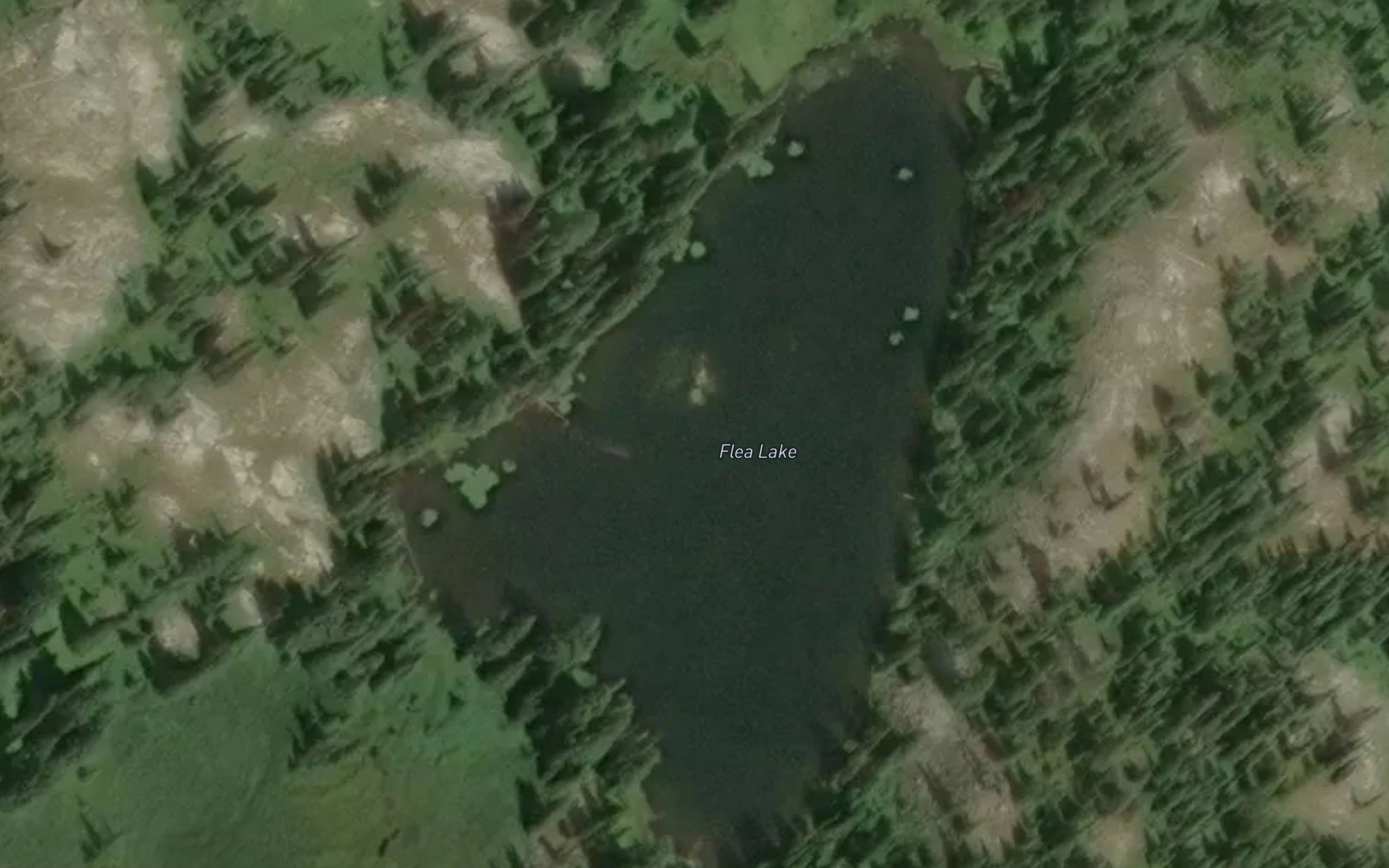 Flea Lake