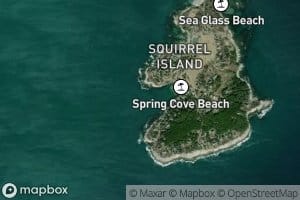 Squirrel Cove
