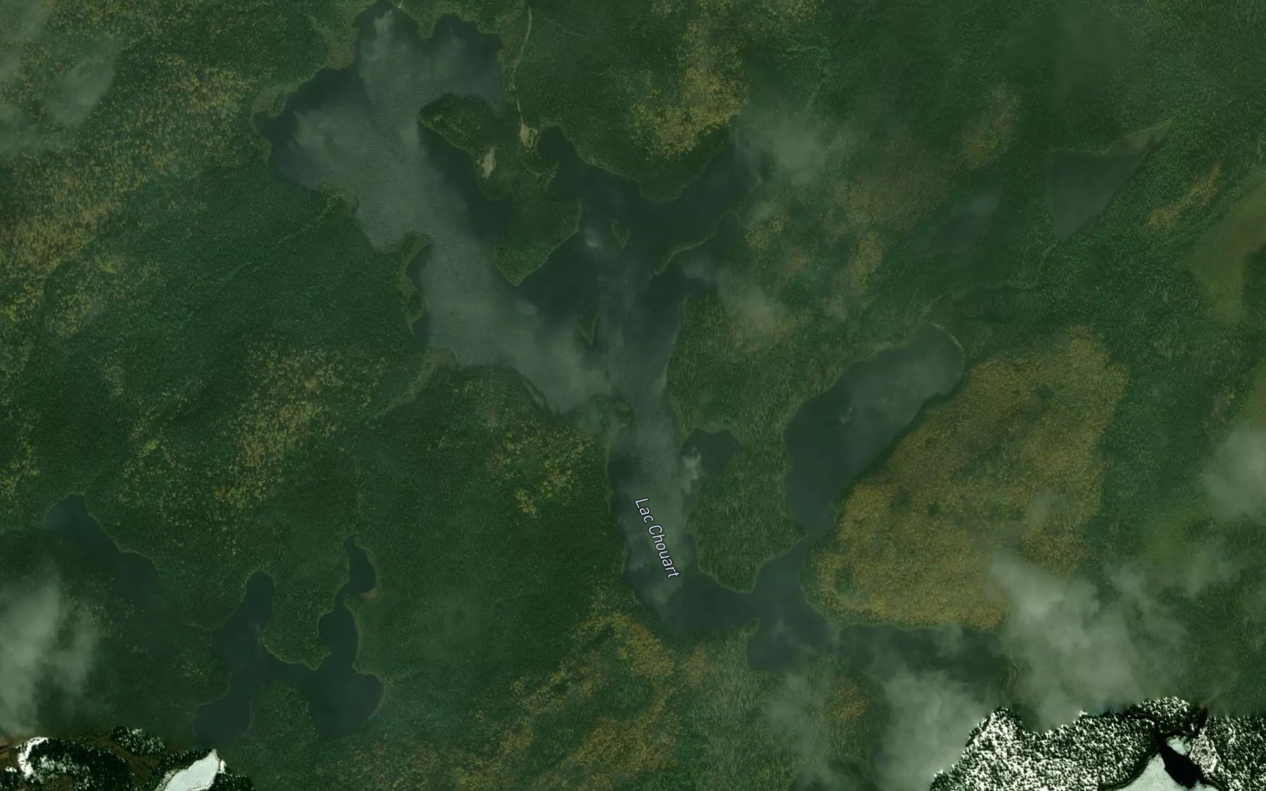 Satellite map of the Lac Chouart
