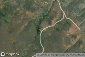 Shorthorn Spring