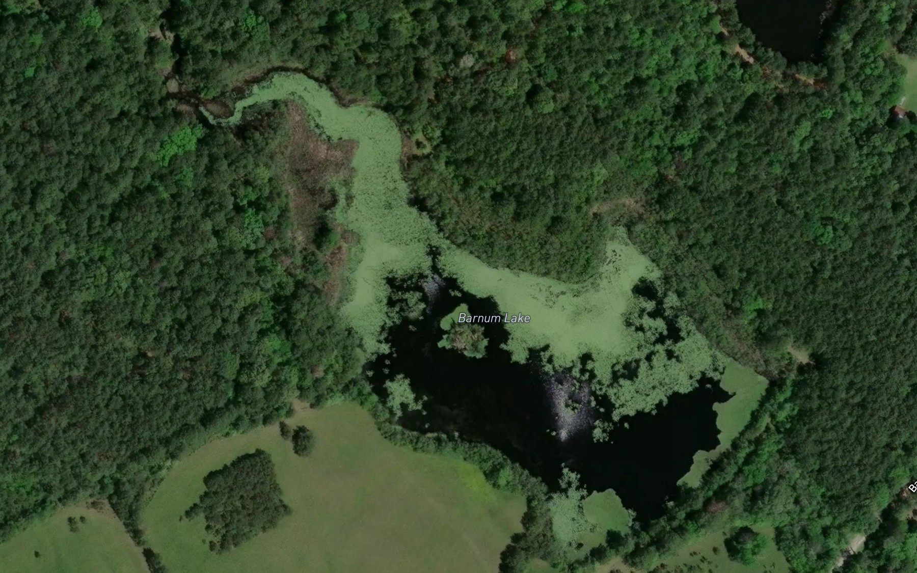 Satellite map of the Barnum Lake