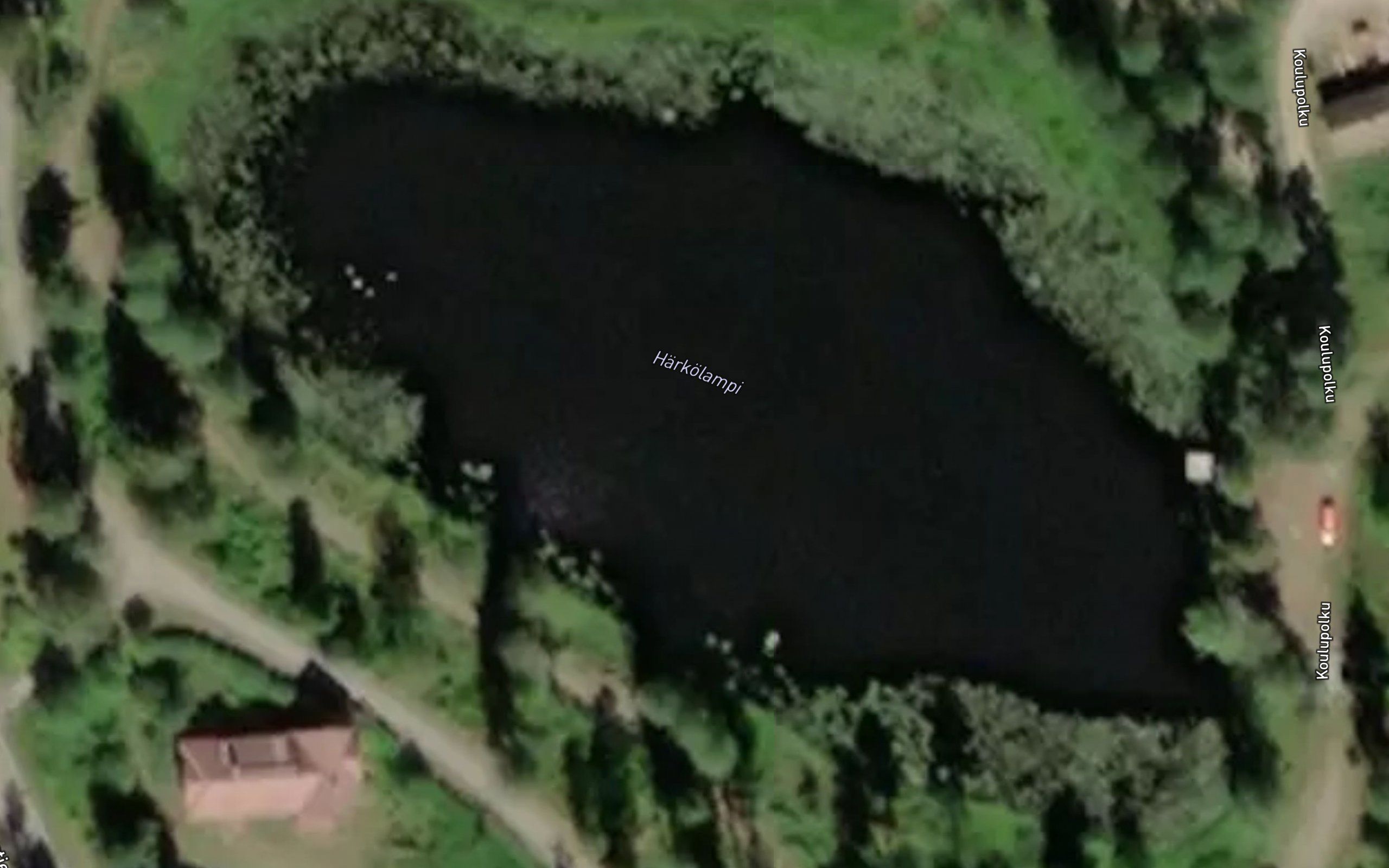 Harkolampi