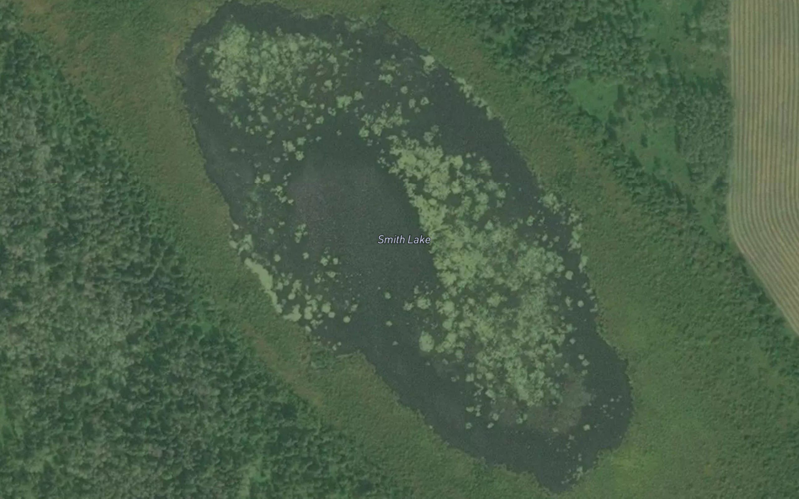 Smith Lake