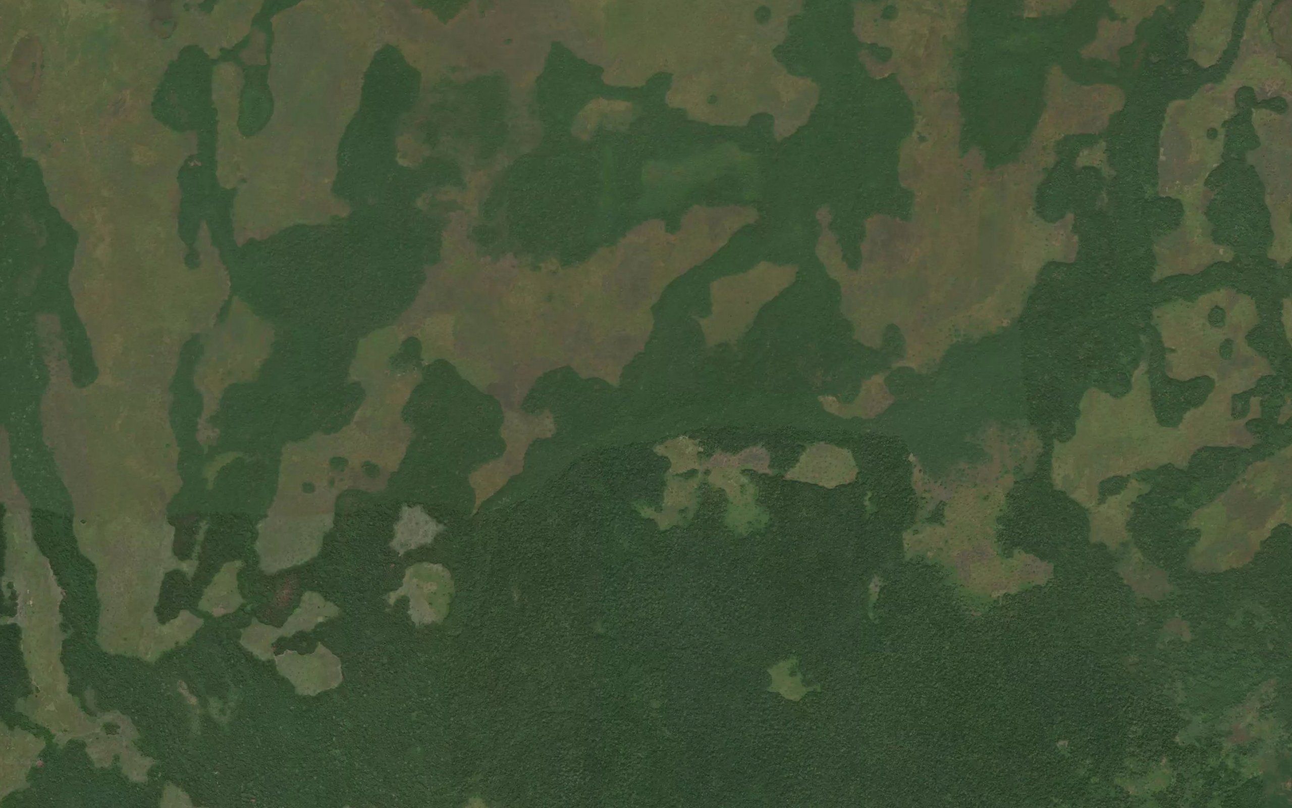 Ngulinga