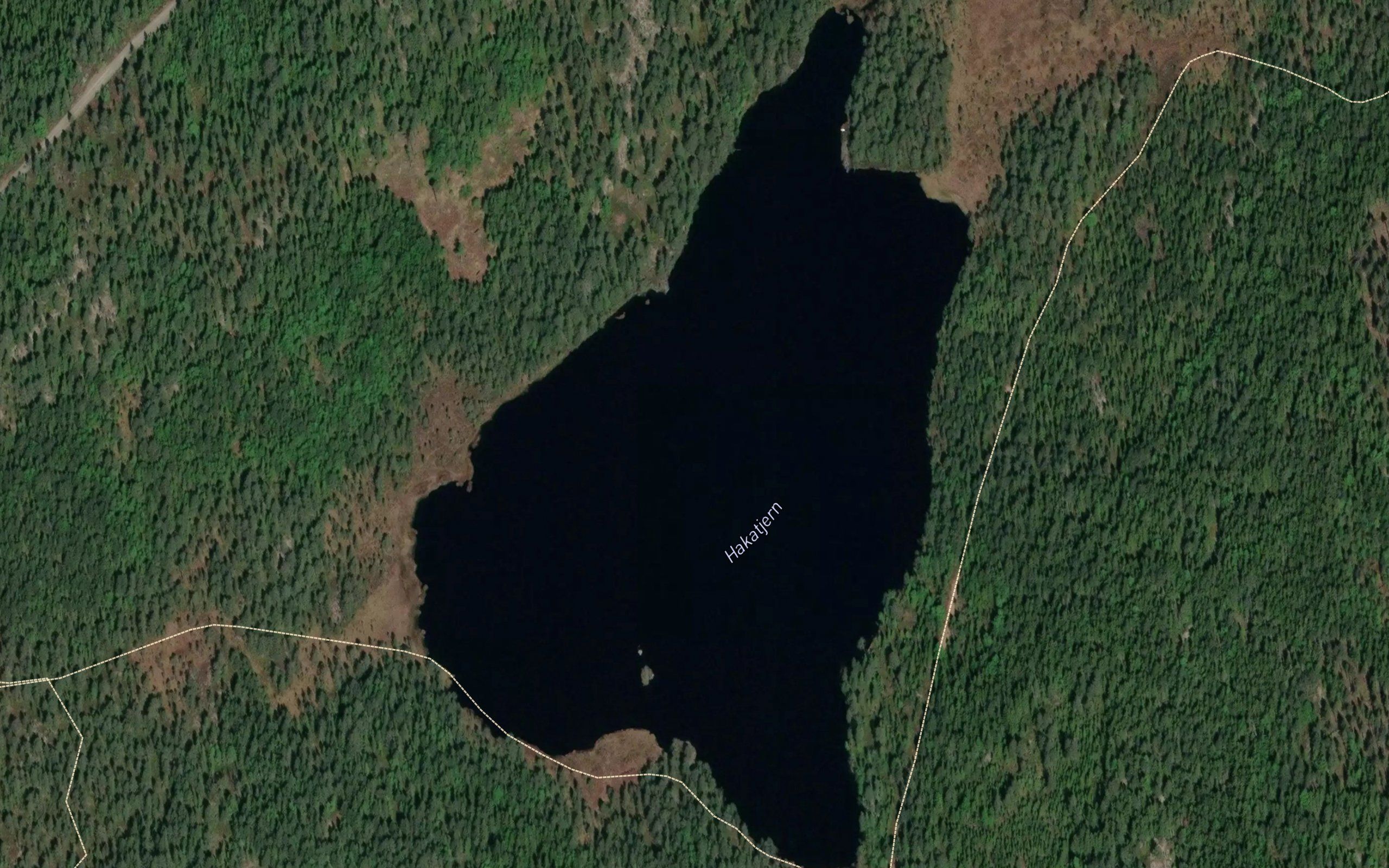 Hakatjern