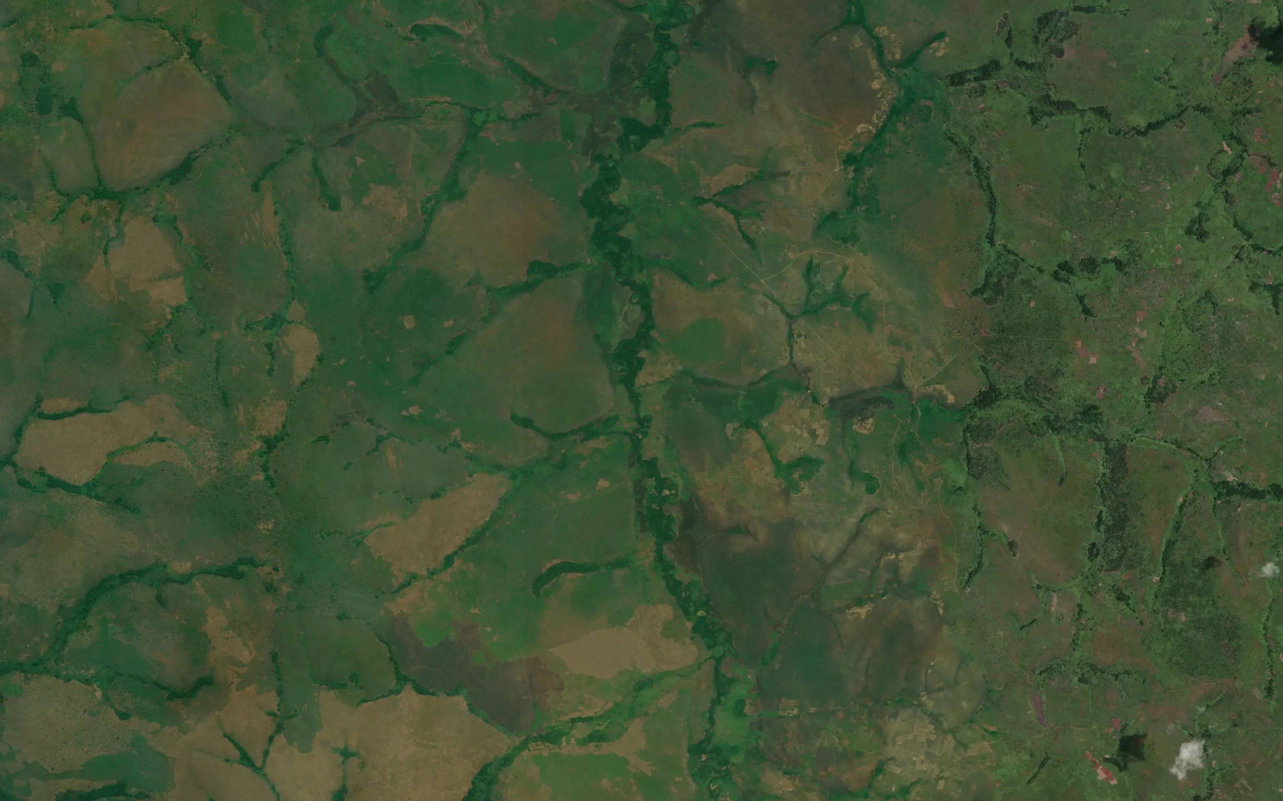 Kidimba