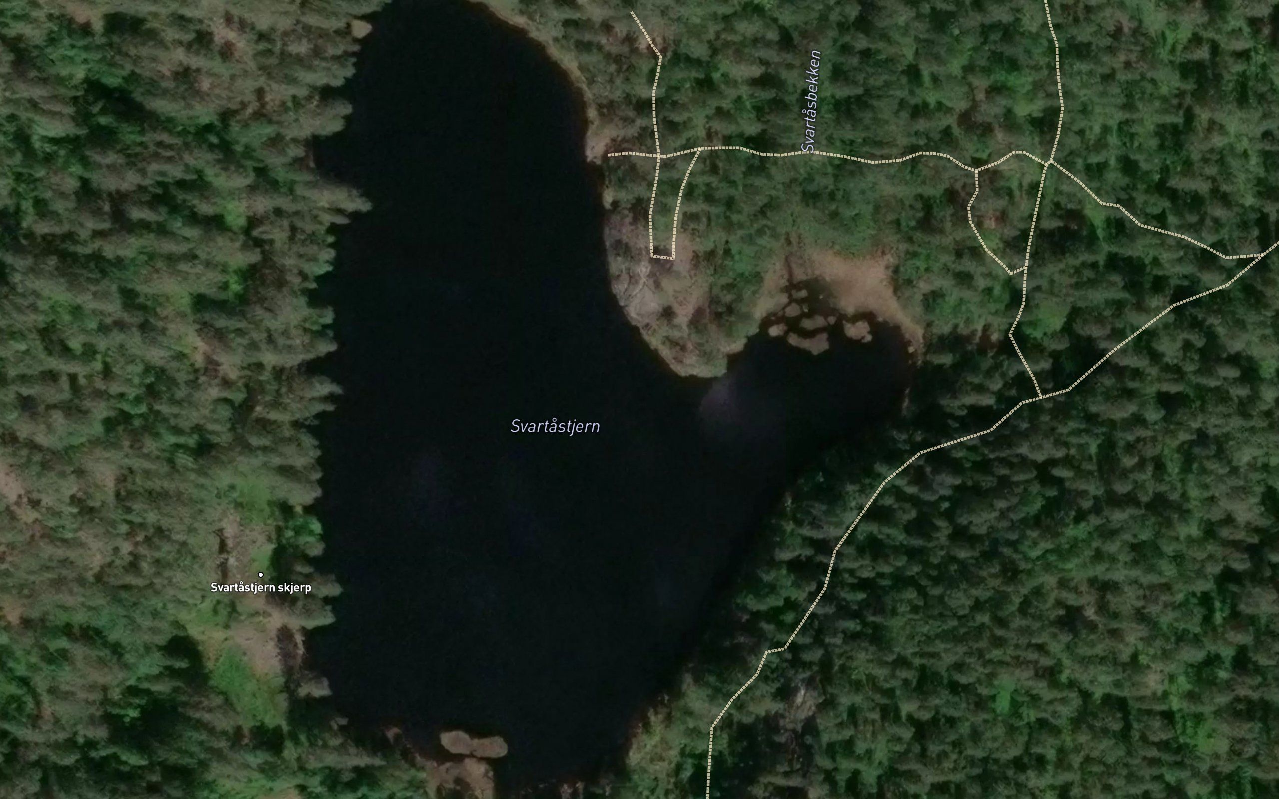 Svartastjernet