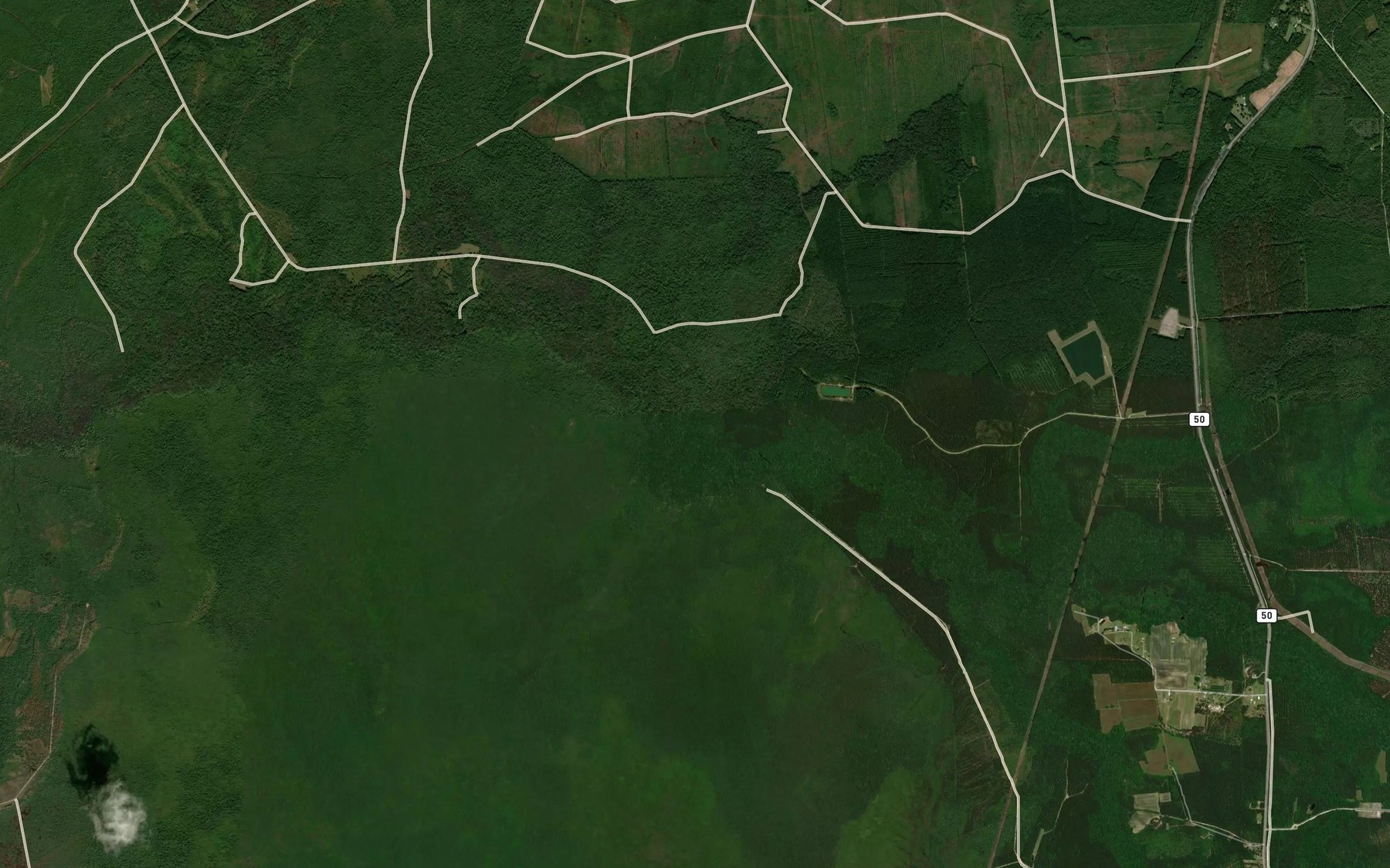 Satellite map of the Juniper Swamp