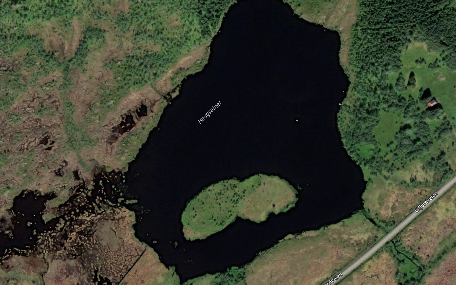 Satellite map of the Haugvatnet