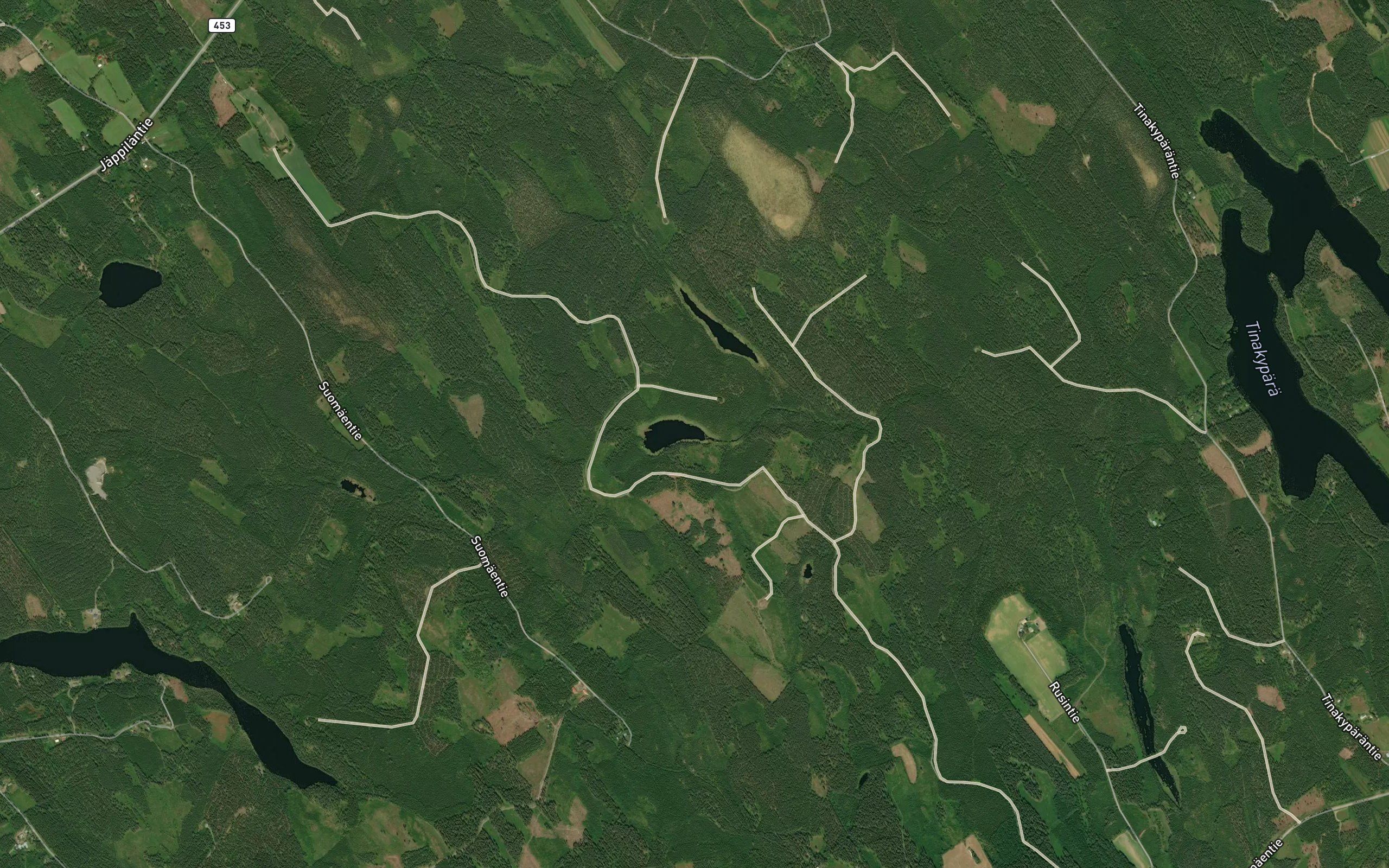 Heinalammit