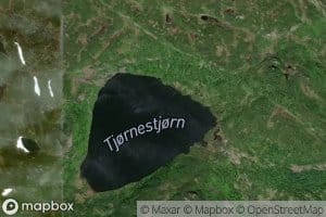 Tjornestjorn