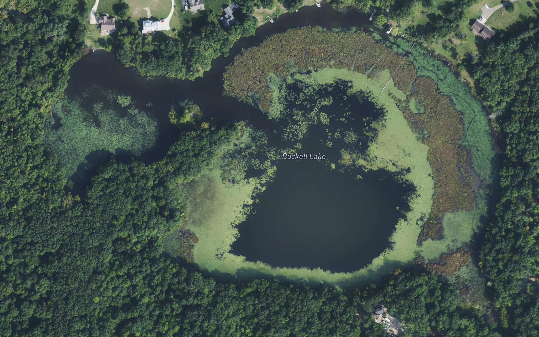 Satellite map of the Buckell Lake