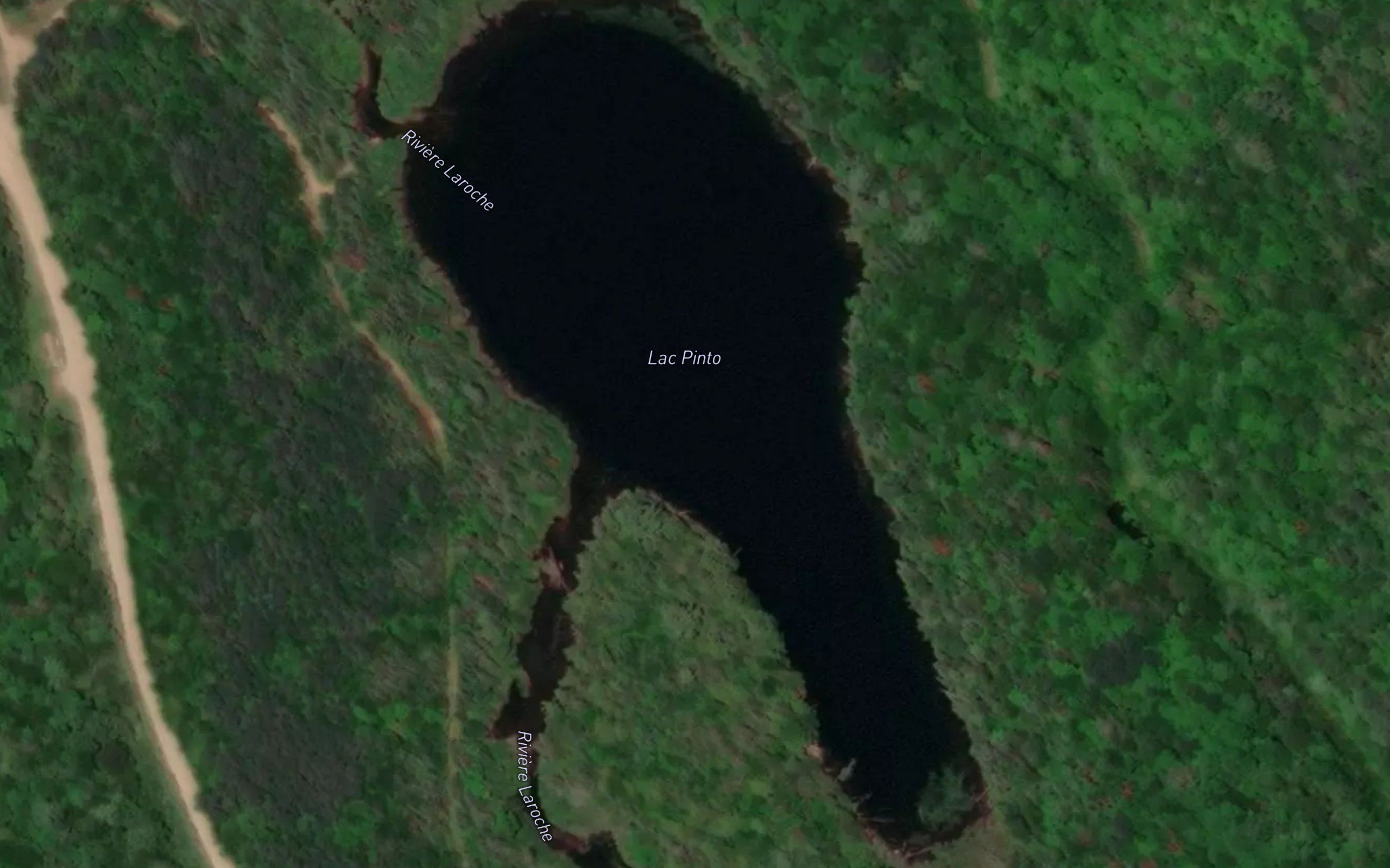 Lac Pinto