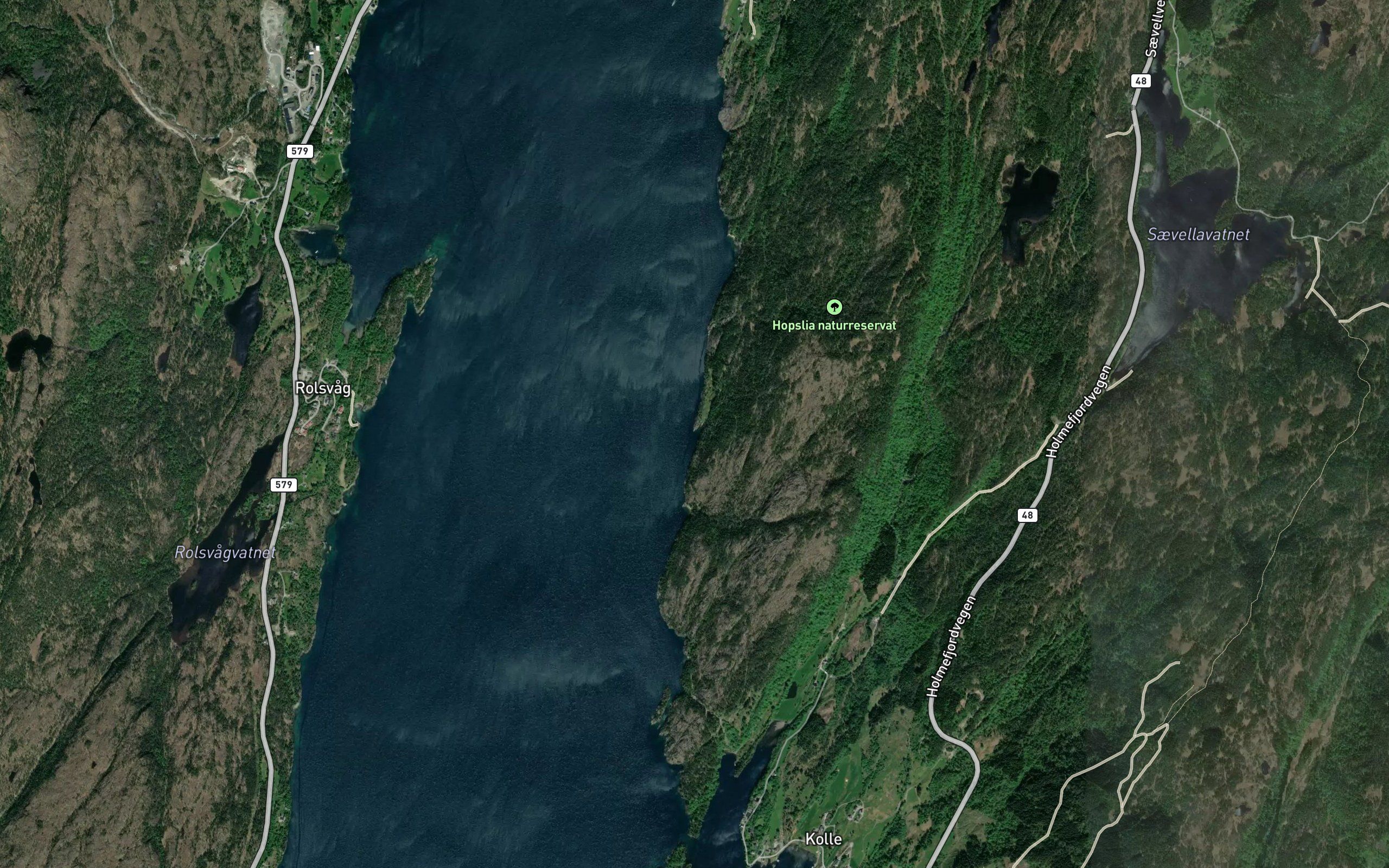 Ervik