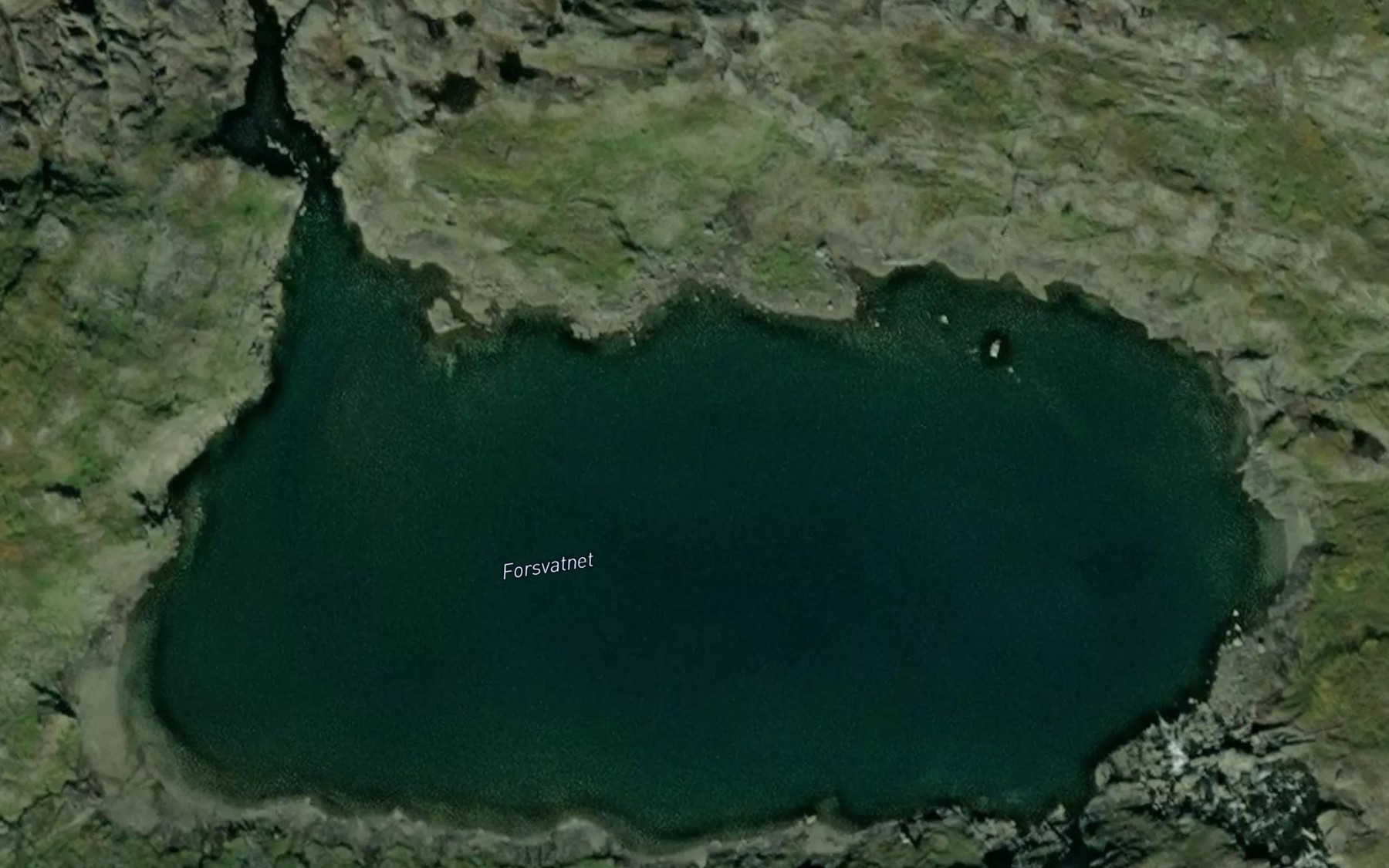 Satellite map of the Forsvatnet