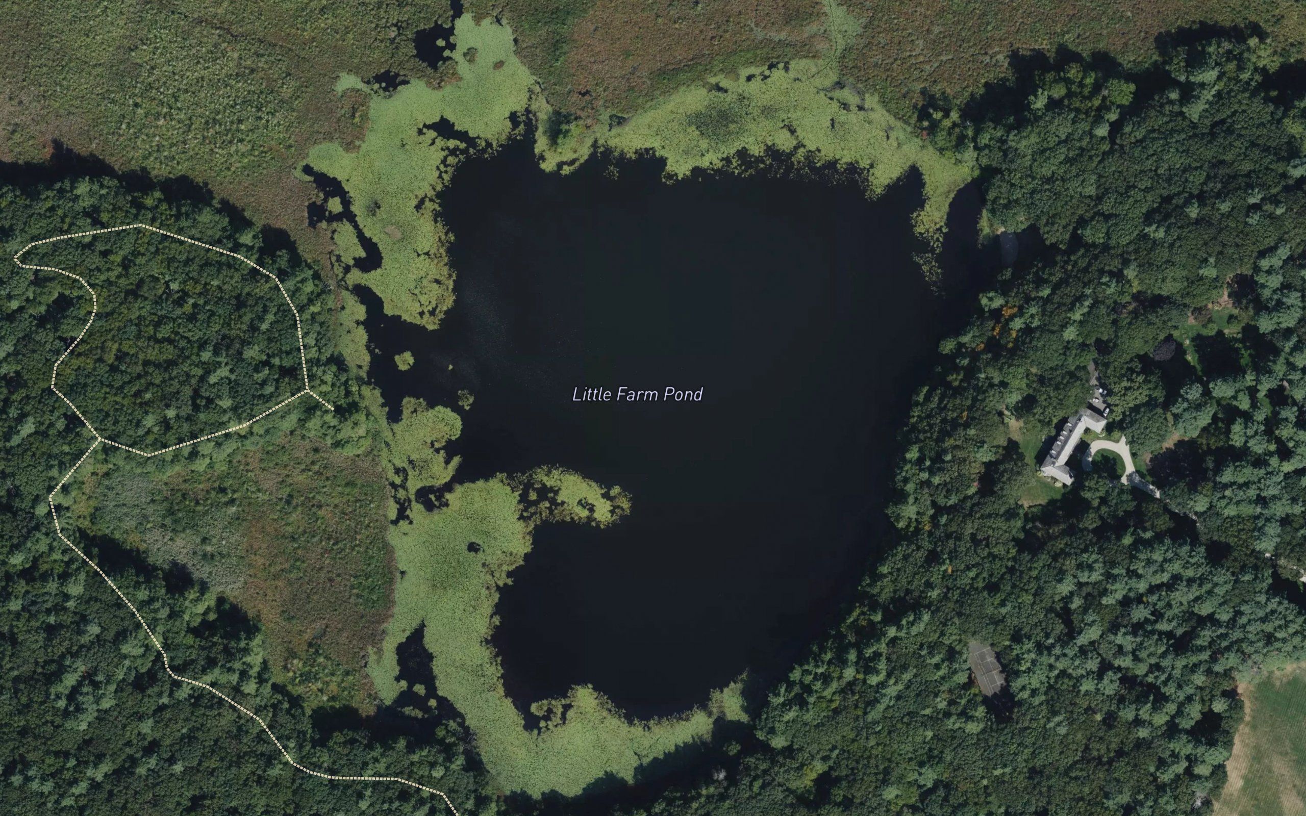 Little Farm Pond