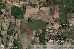 Laguna Flores