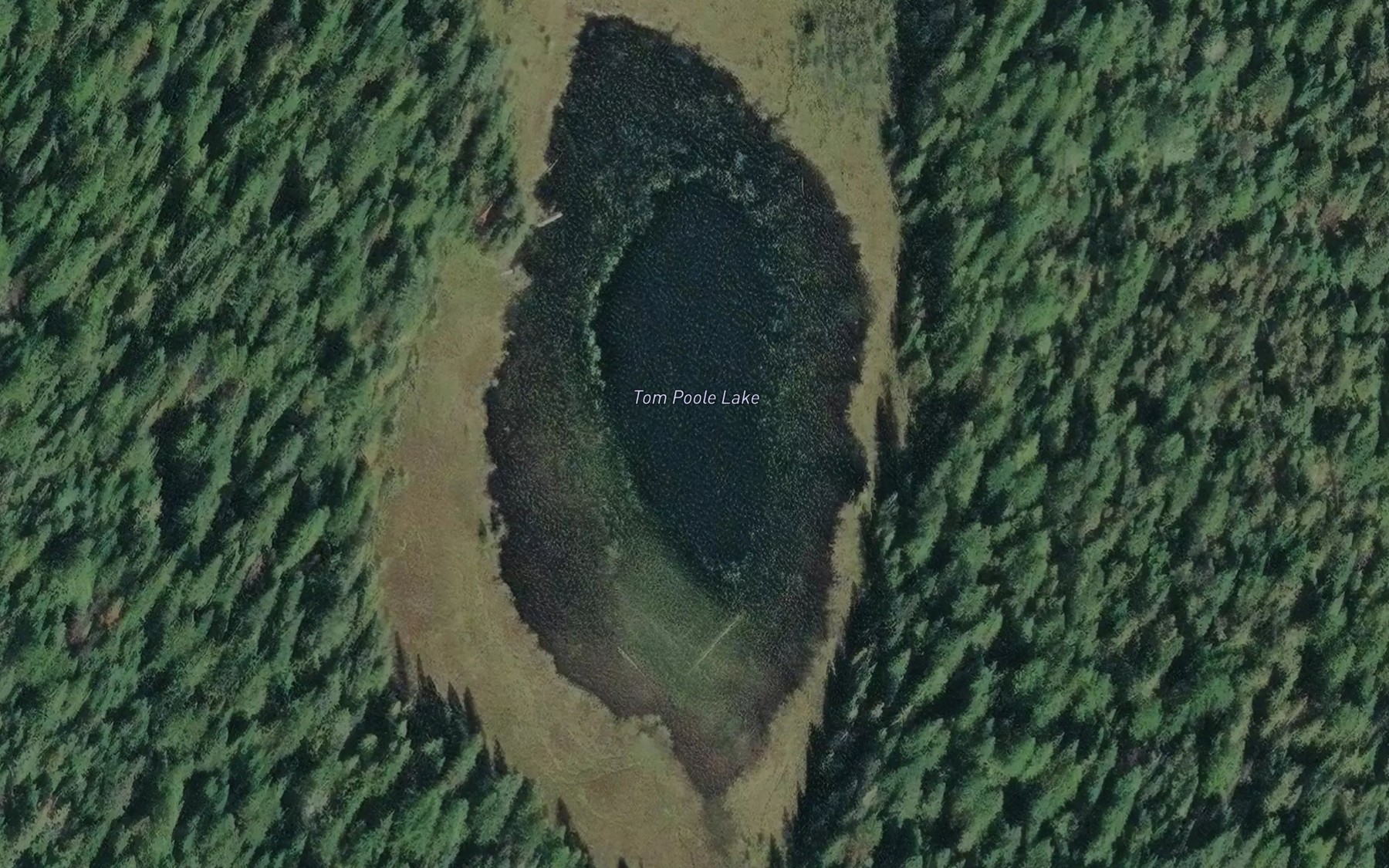 Satellite map of the Tom Poole Lake