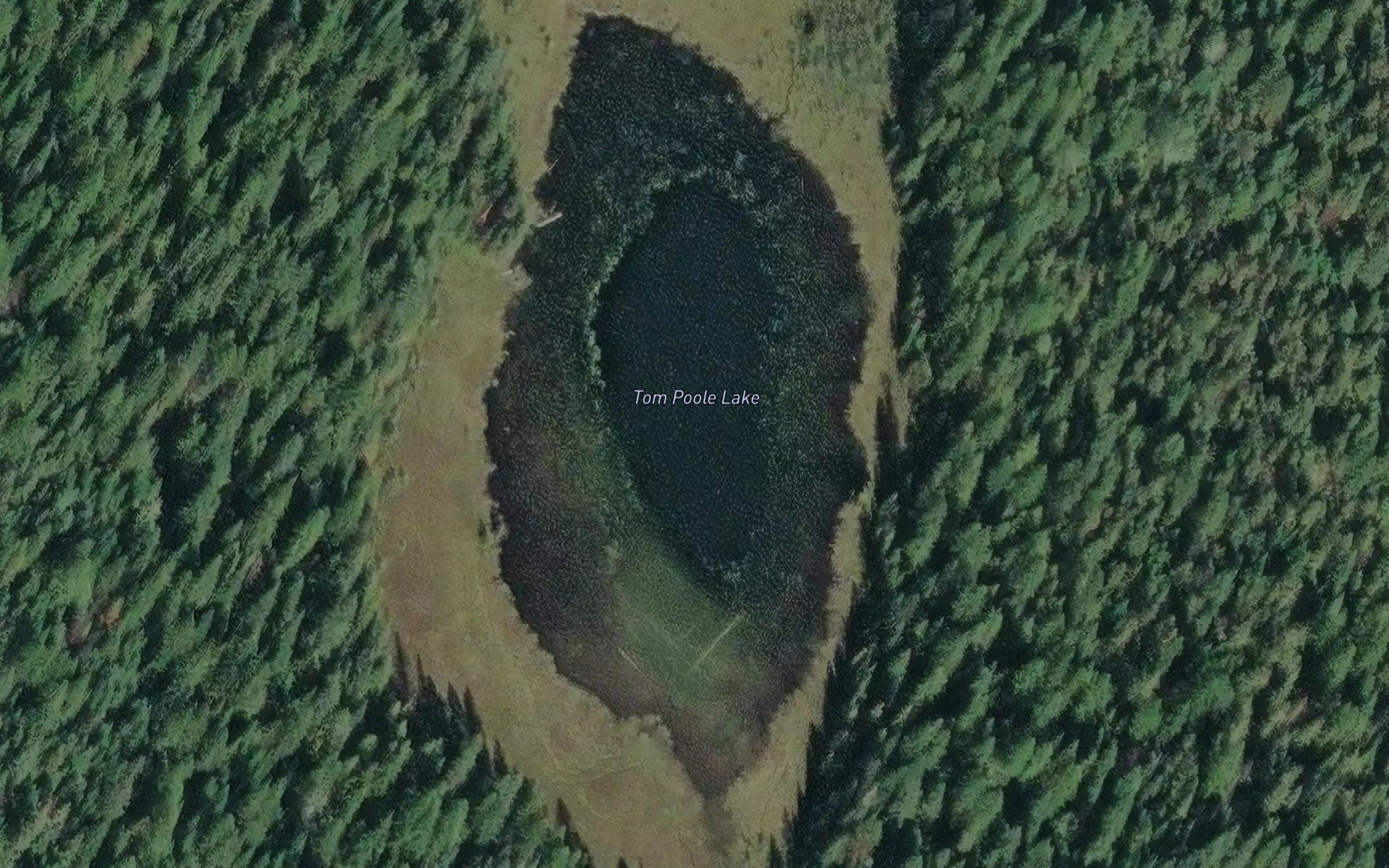 Tom Poole Lake