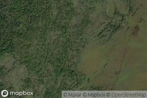 Nizhnyaya Torokin'ya