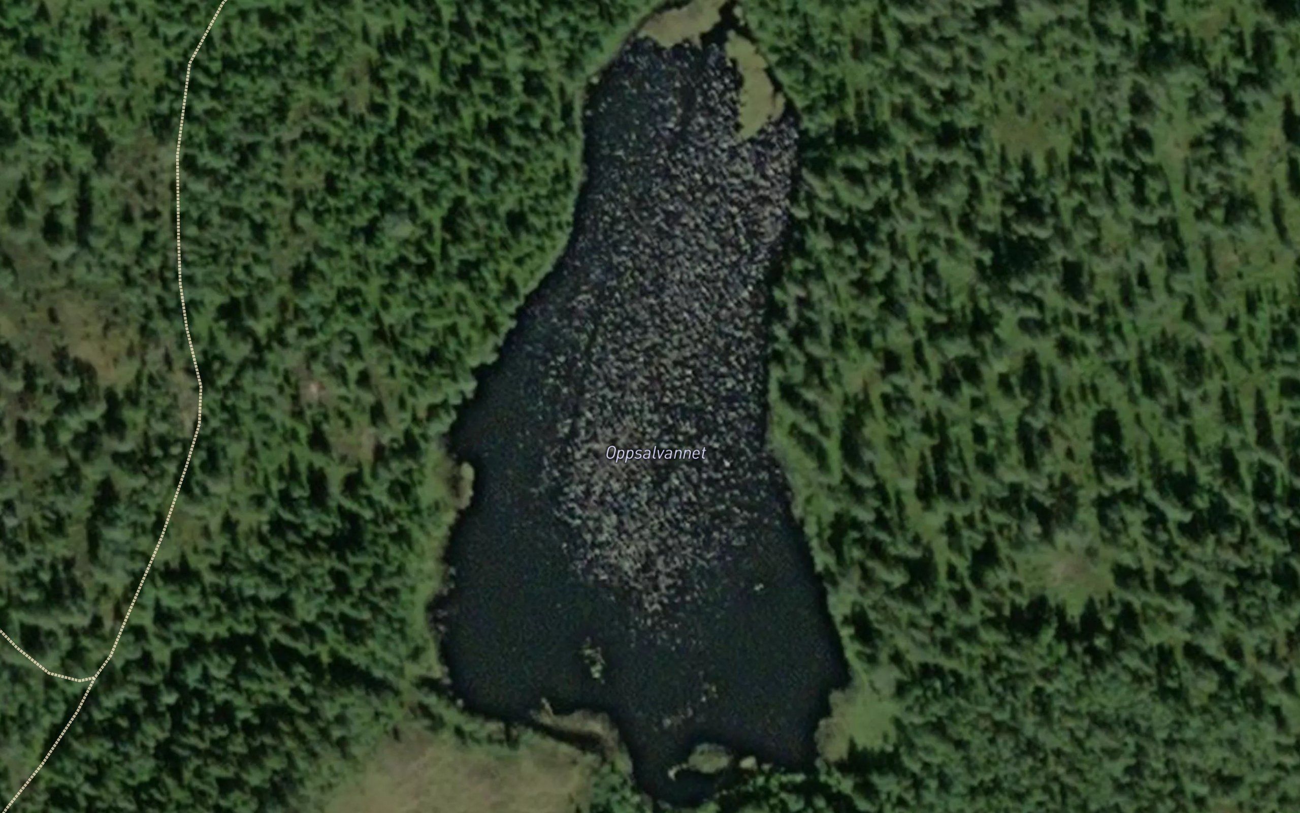 Oppsalvann