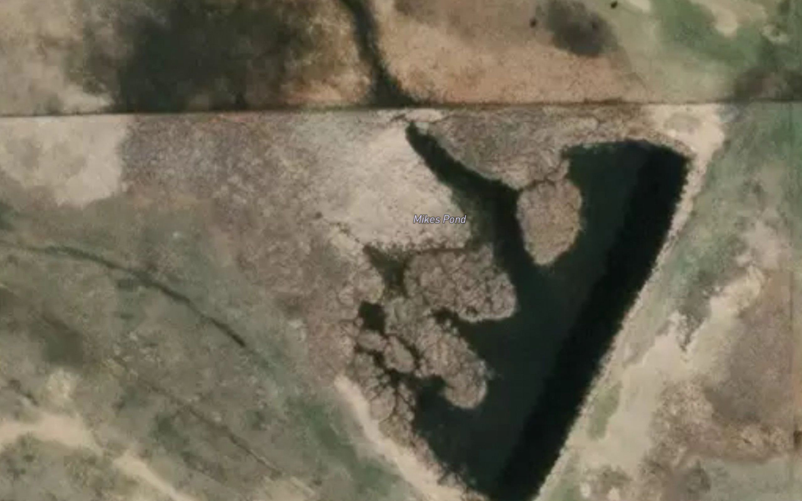 Mikes Pond