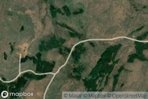 Basin Spring