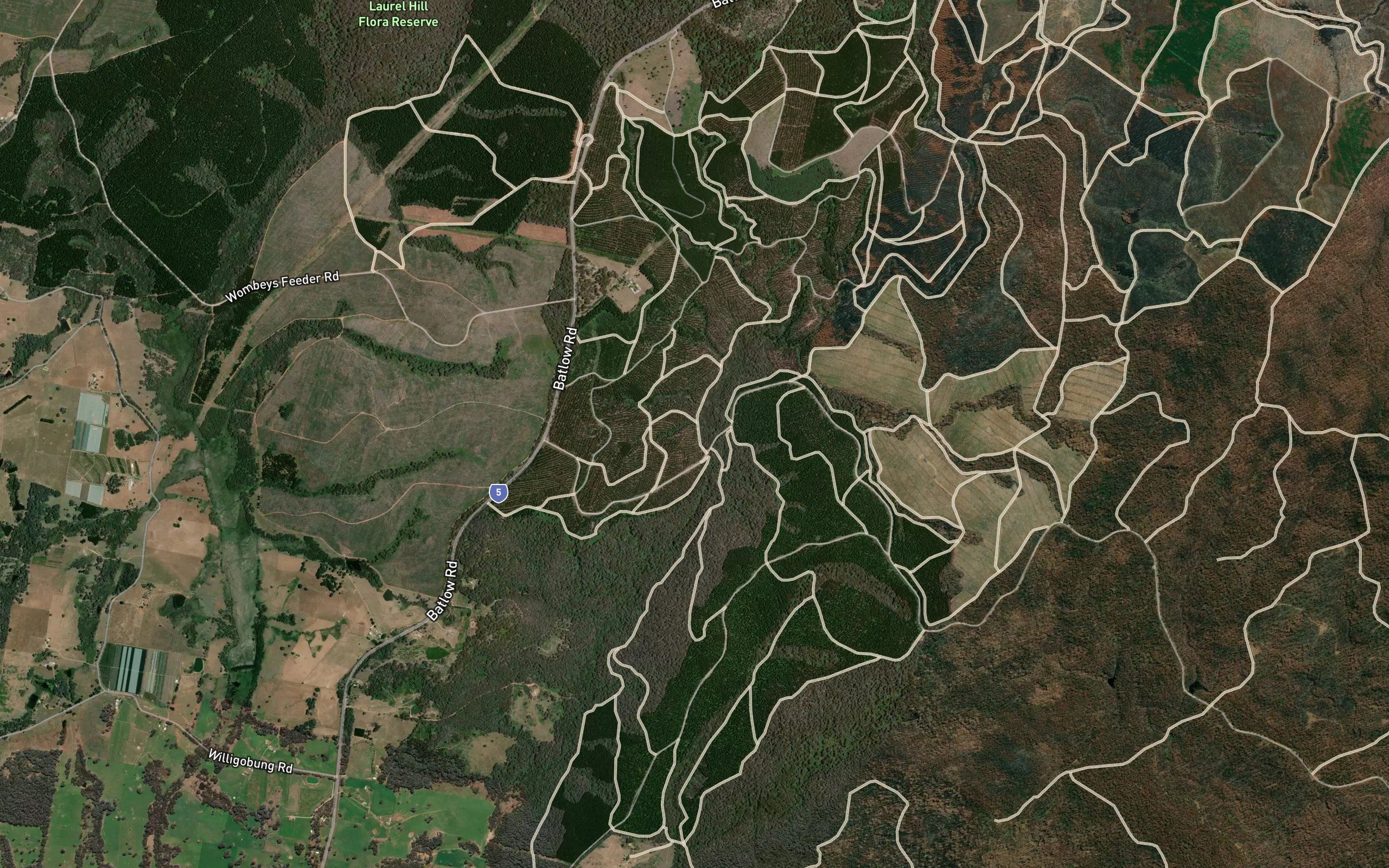 Clarkes Gully