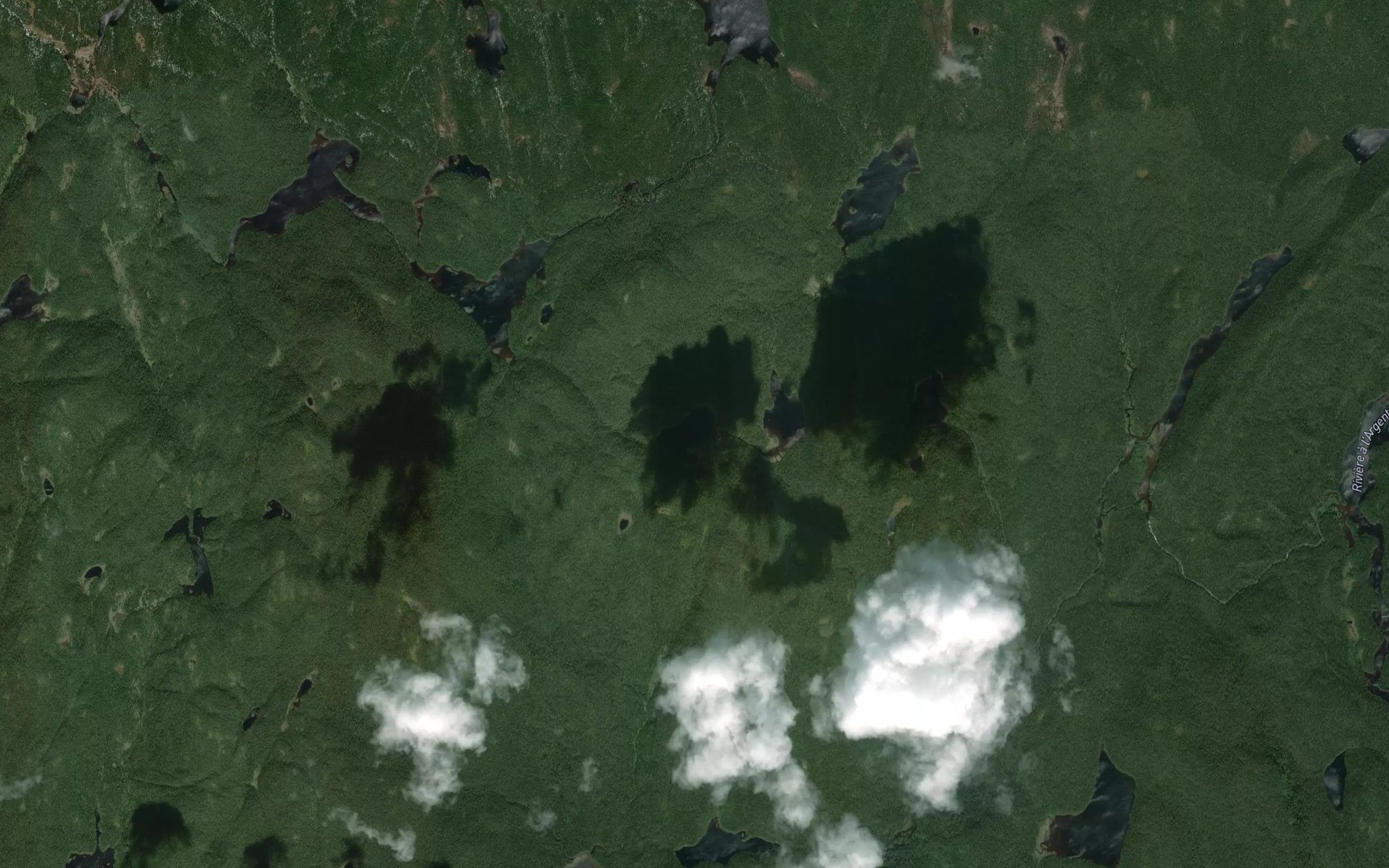 Satellite map of the Lac de la Perdrix de Bois
