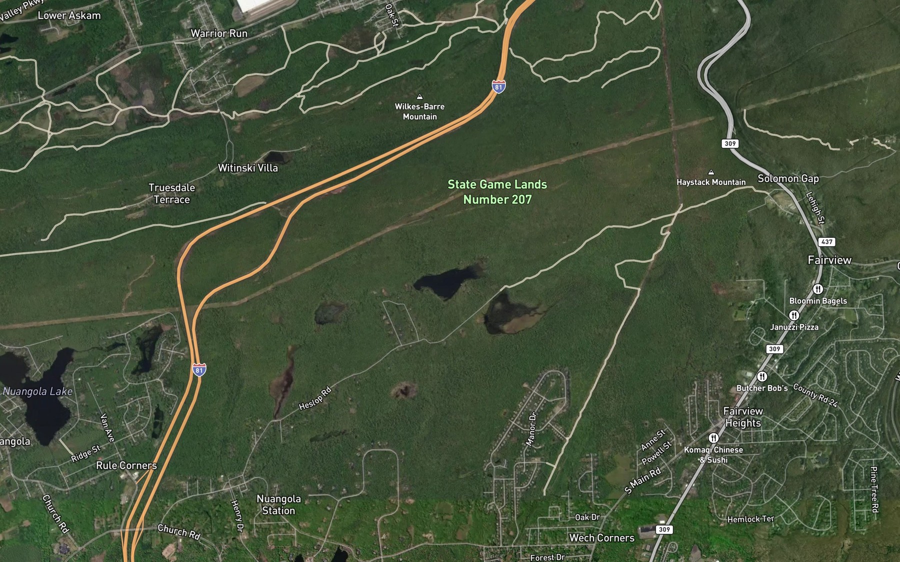 Satellite map of the Boyle Pond