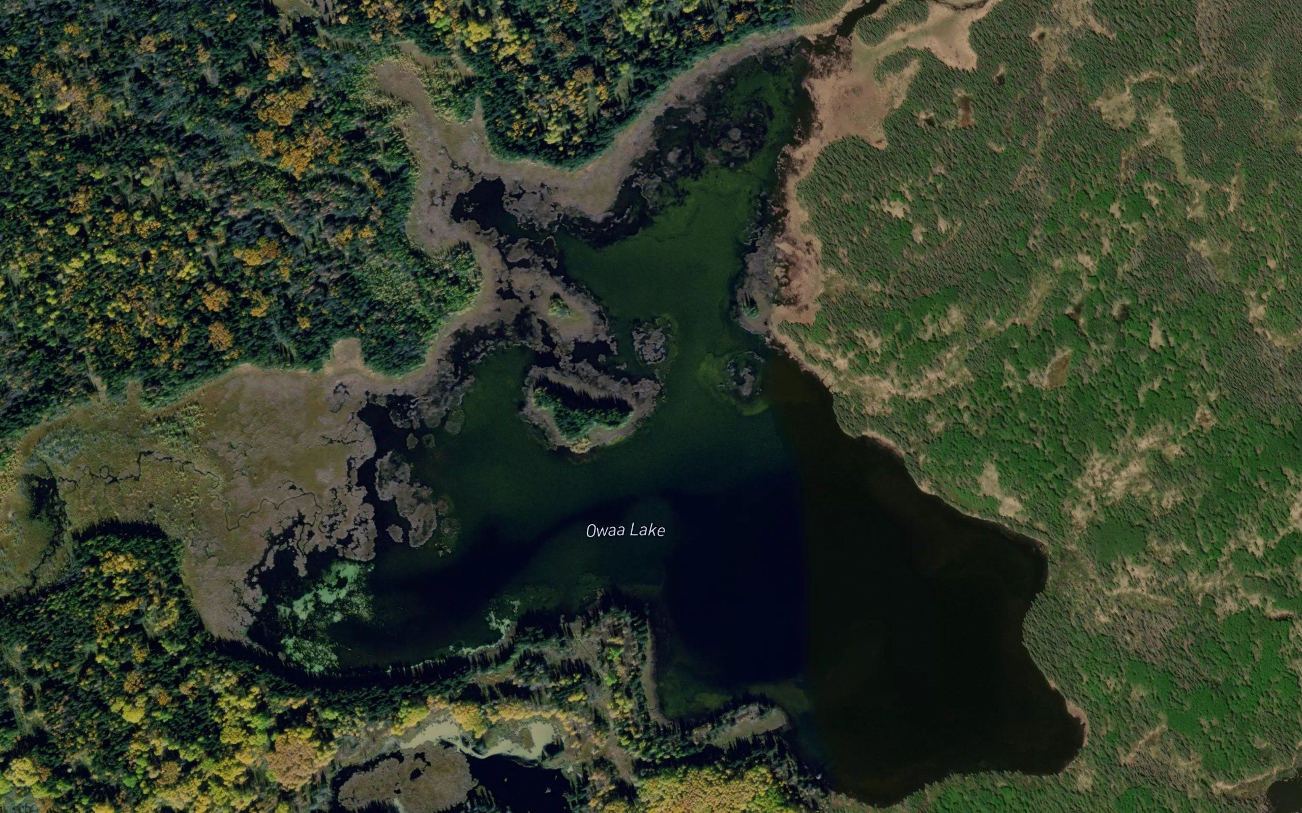 Owaa Lake