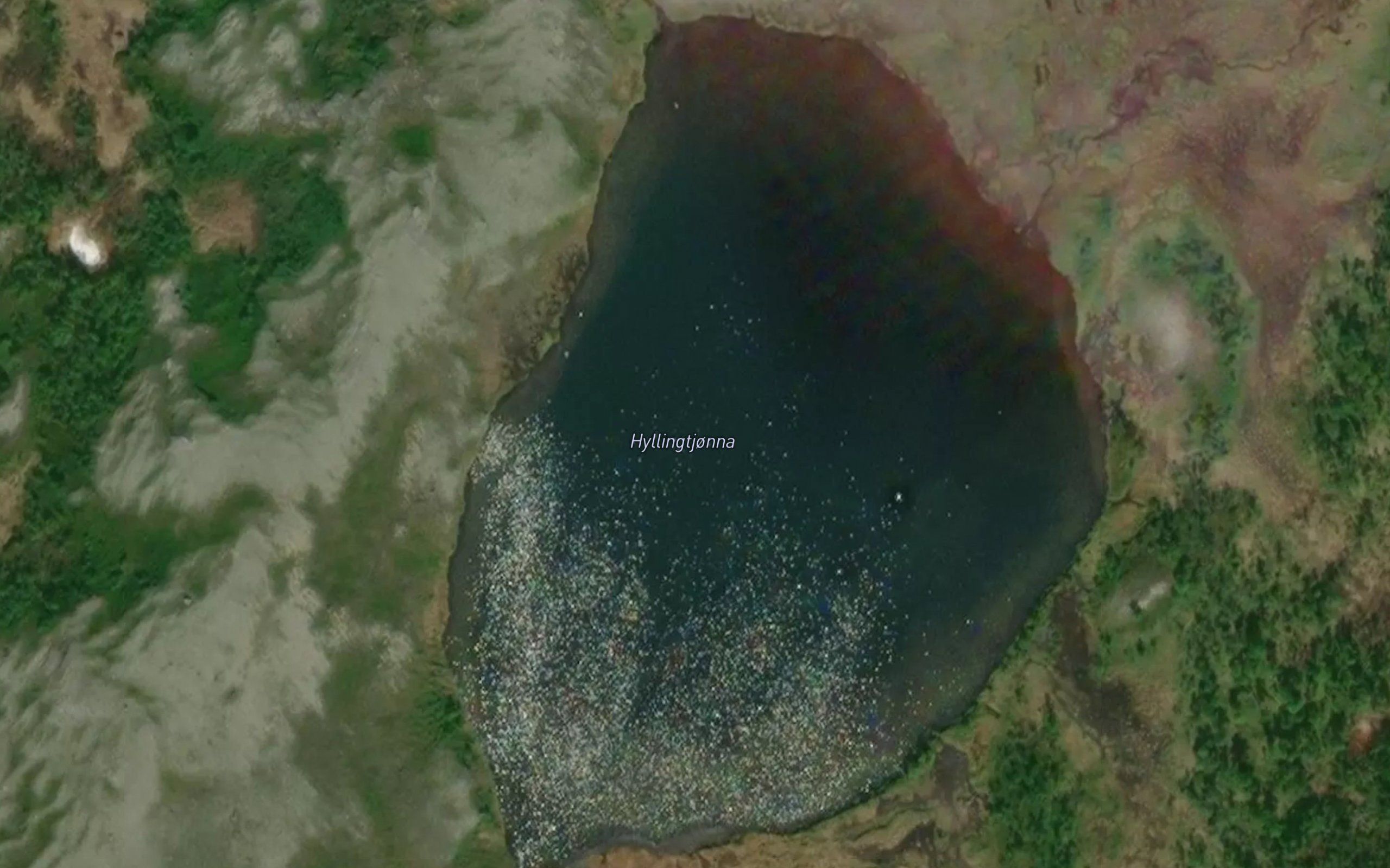 Hyllingtjorna